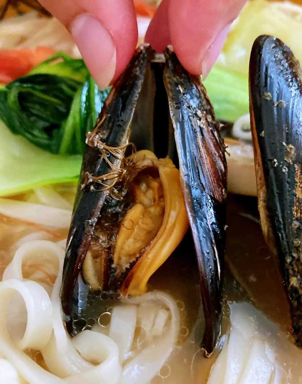 原来贻贝(淡菜)昵称叫"海夫人"……是这么个道理