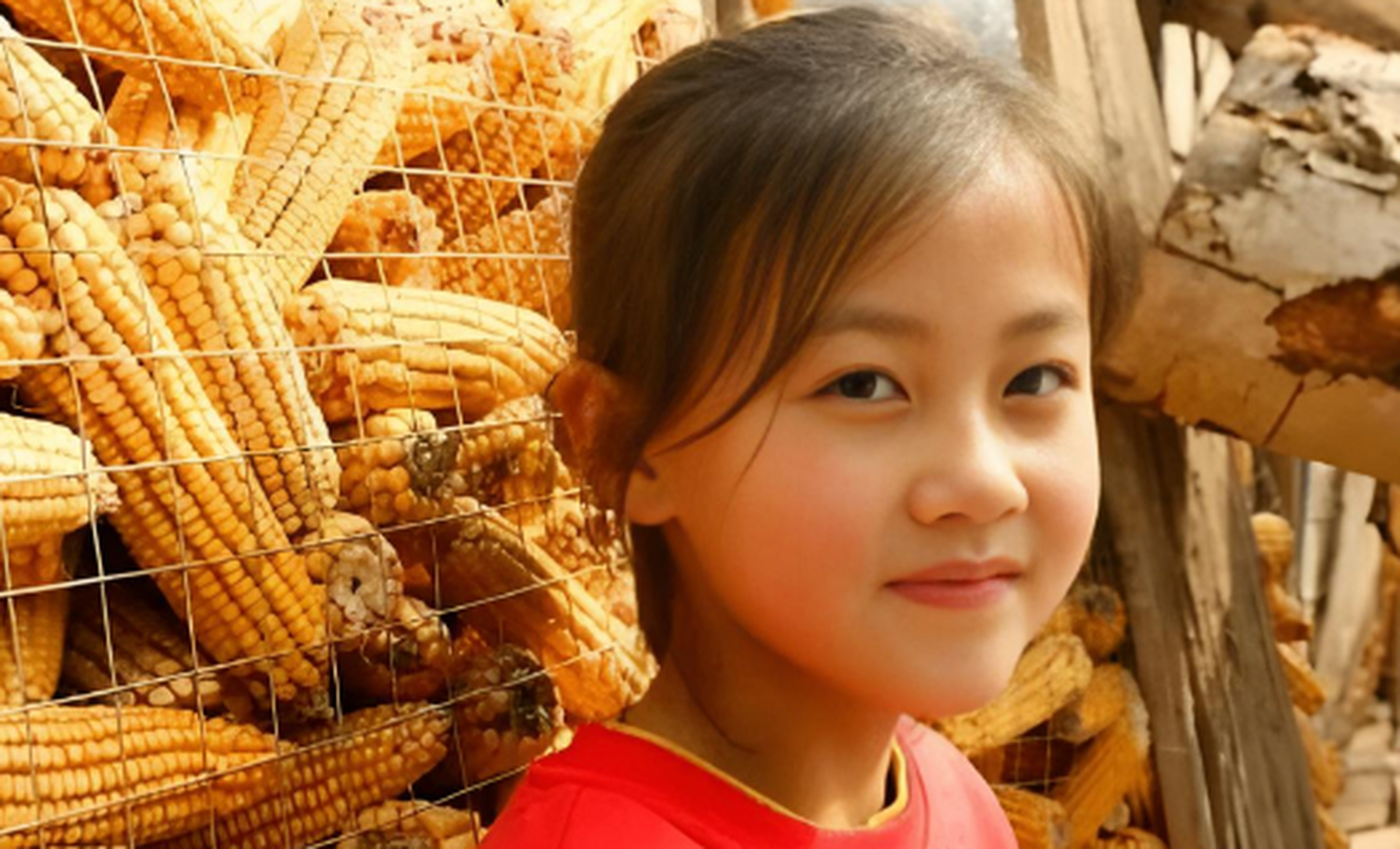 2021年,美国宁夏有一个7岁的小姑娘,名叫铁嘉欣