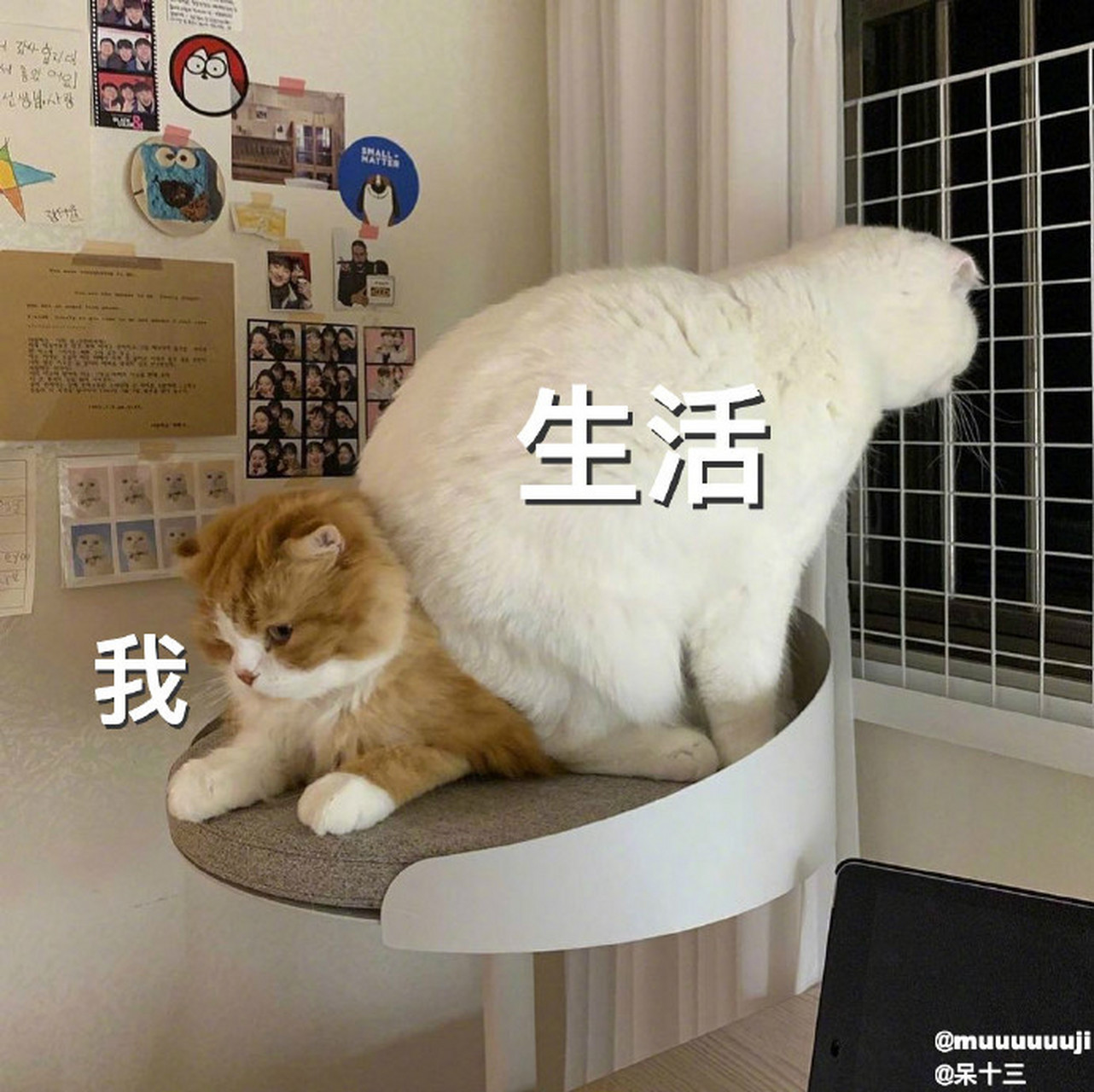 寄往2021的心愿#,@央视新闻 @2021小邮局  [坏笑]搞笑[滑稽]奇葩