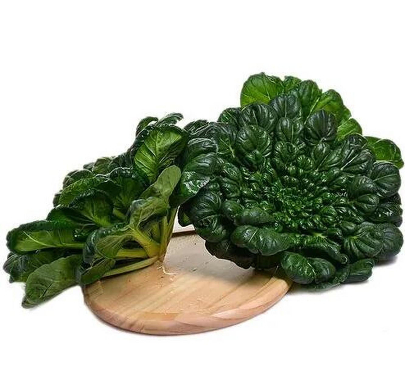 想要入冬有菜吃,现在就可以行动起来种一些乌塌菜,乌塌菜的抗寒能力