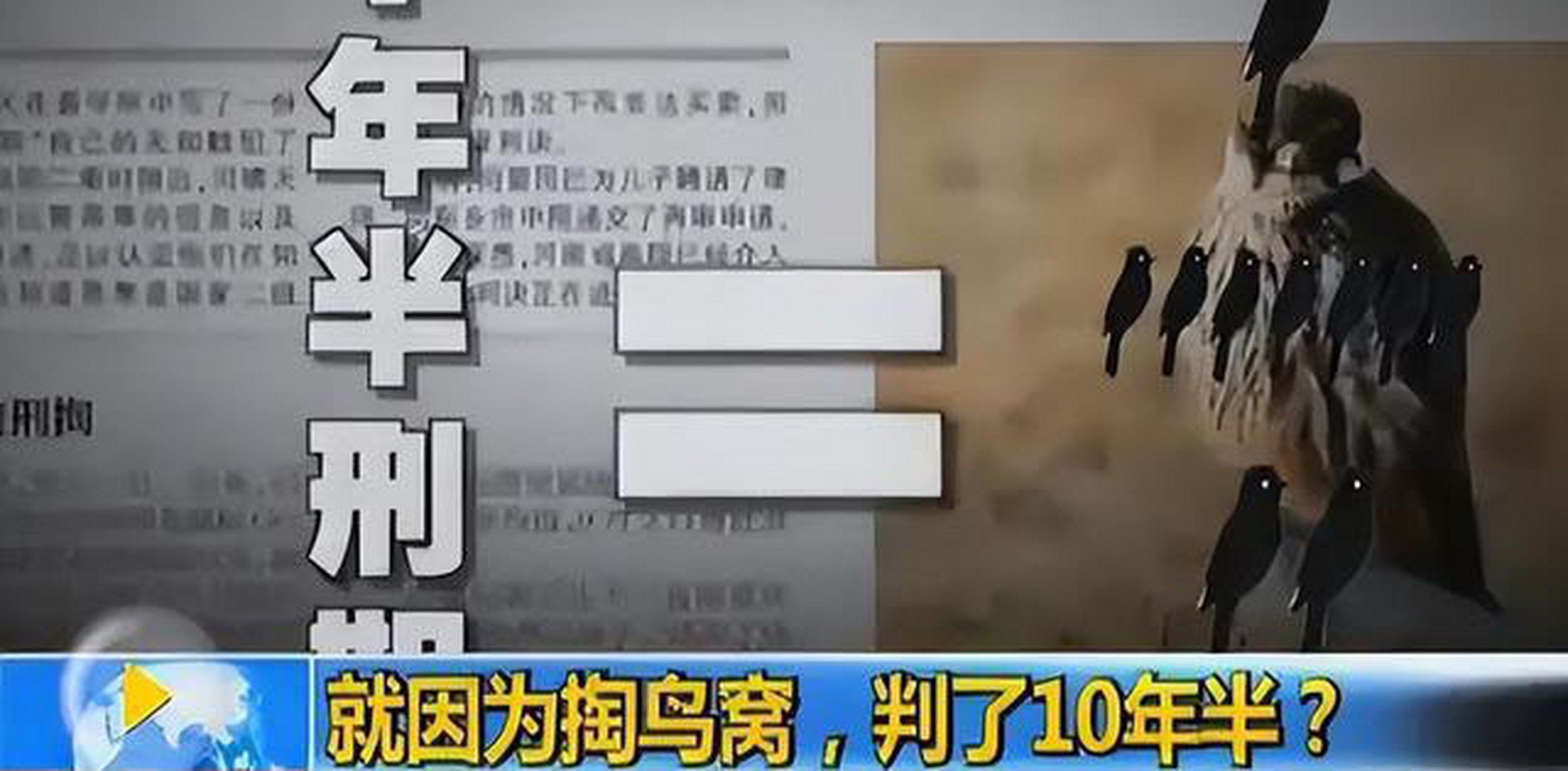"大学生掏鸟案"案件当事人闫啸天已平安回到家中,因为"掏鸟"一事,他被