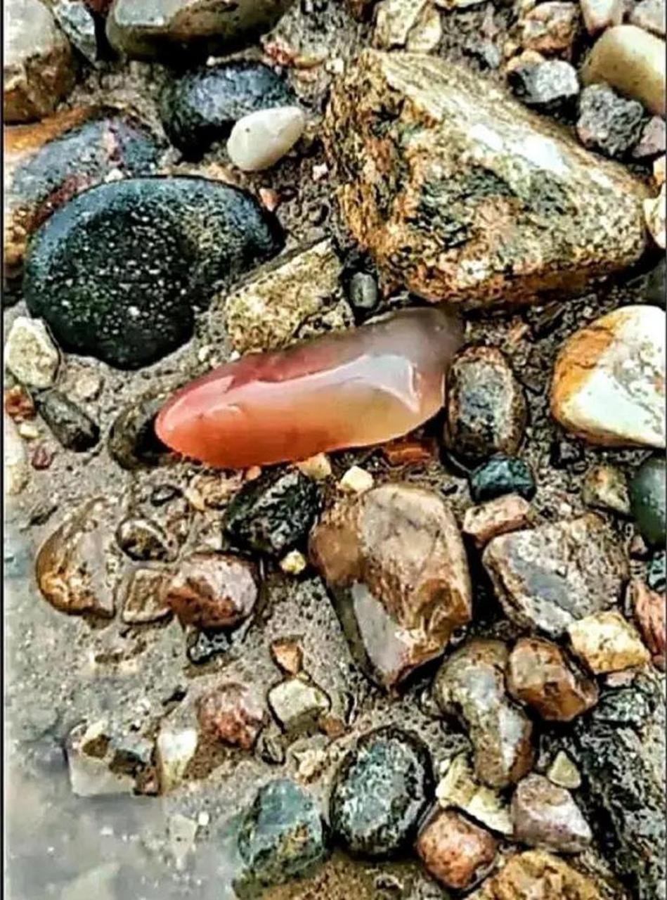在小河边发现了一块红色的石头,大家觉得捡回去有收藏价值吗?