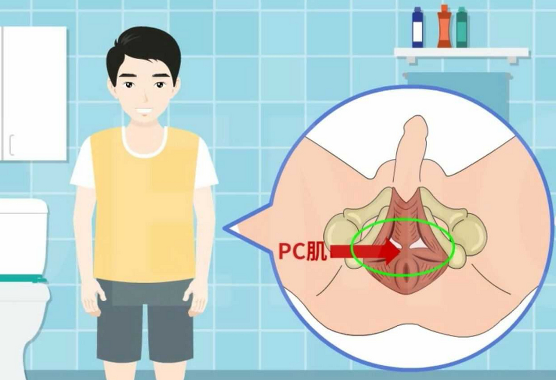 对于丧失勃起和早晨勃起作用的男性而言,平时多做pc肌训练,还可以