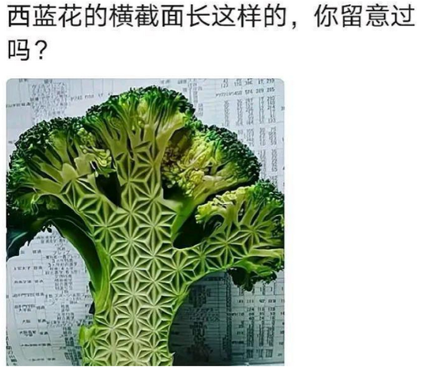 有网友说西兰花的横截面是这样的,有认真研究过的吗?