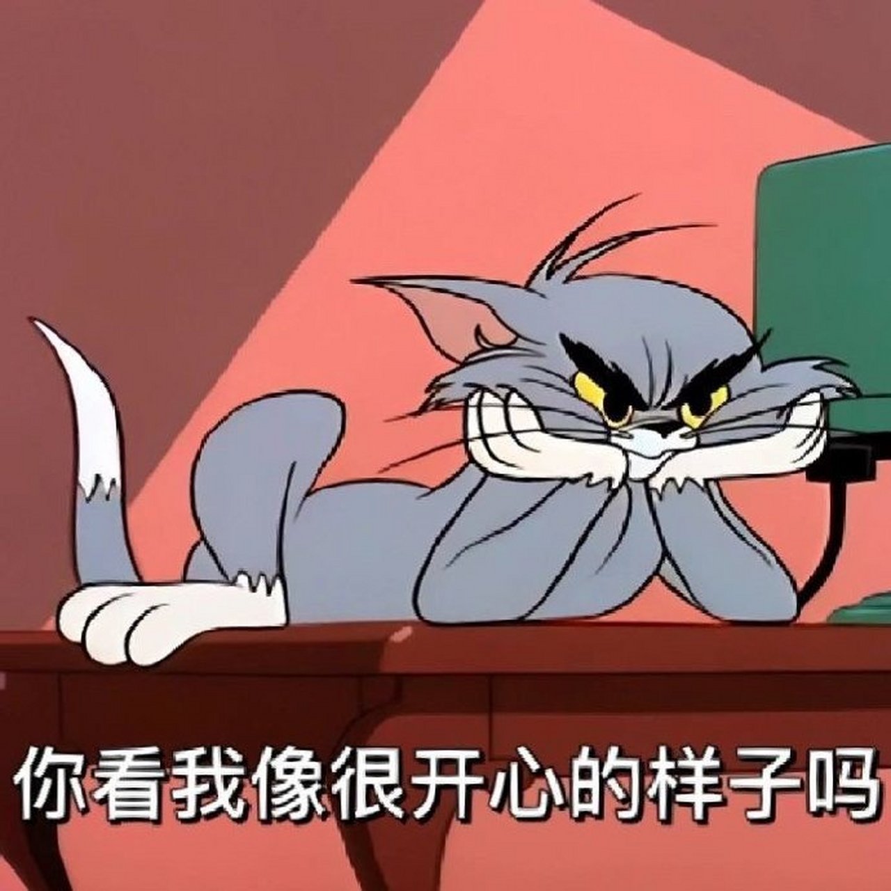 表情包# #搞笑表情包# #可爱表情包# #猫和老鼠表情包