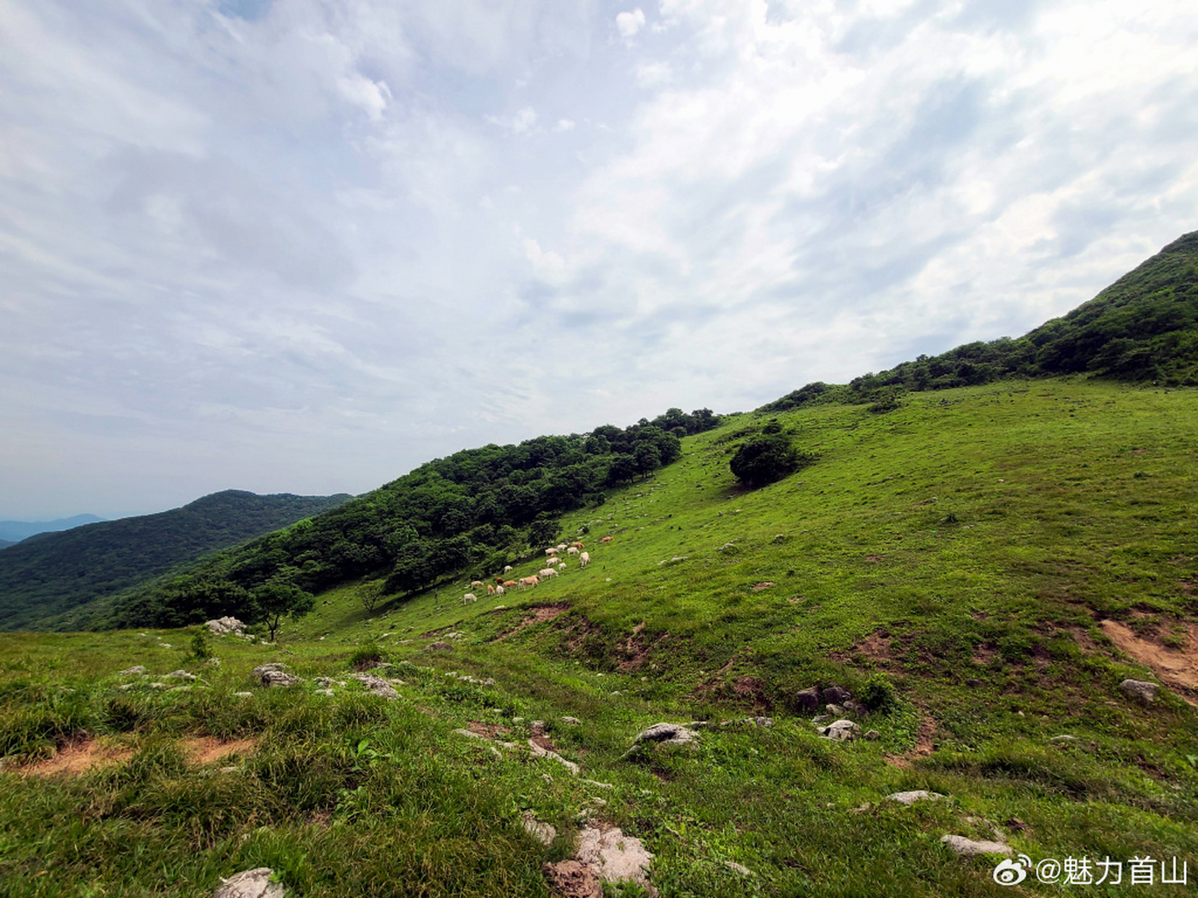 辽阳大黑山风景区图片