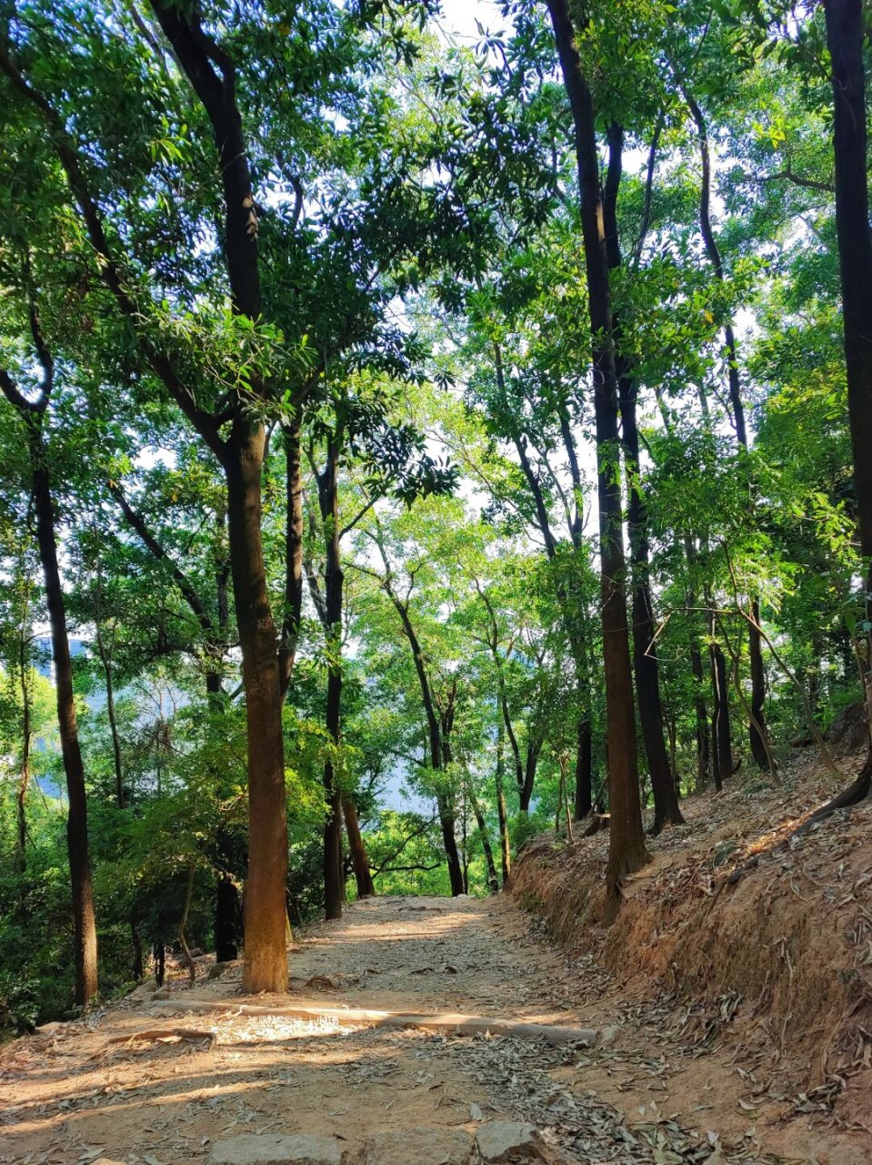 梅林后山徒步图片