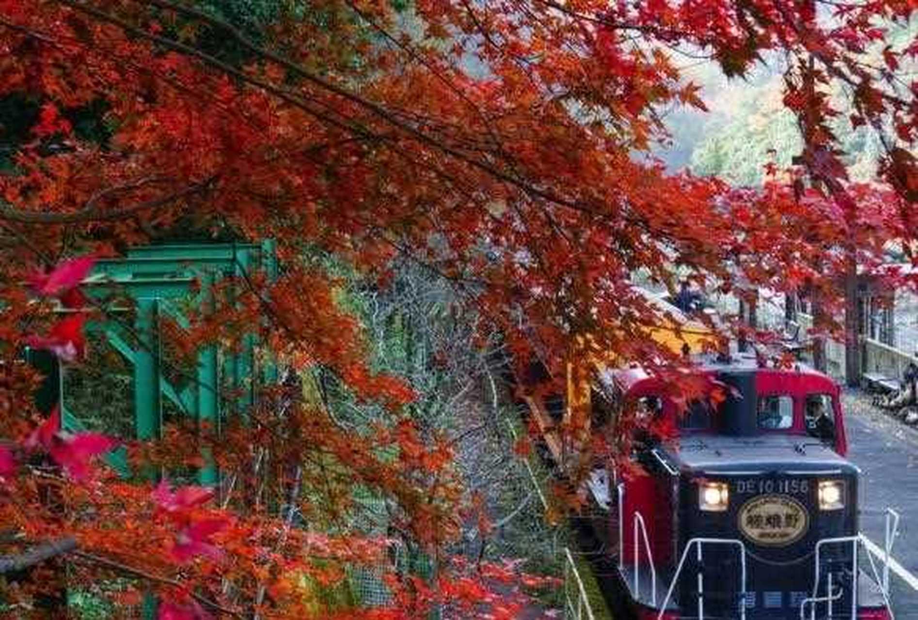 从トロッコ嵯峨站到トロッコ亀岡站,全长73km,时长25分钟左右,途径保