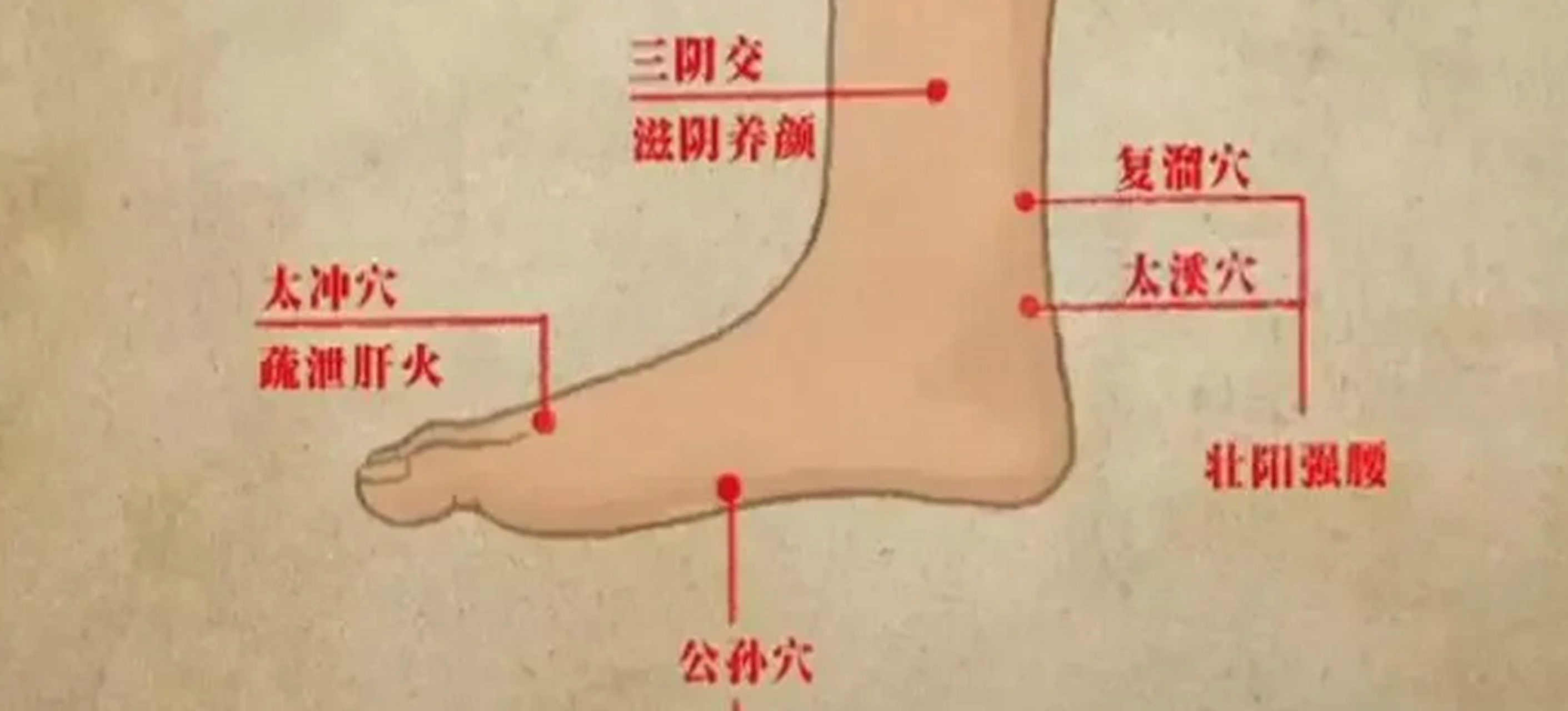 1,合阳穴 杜仲壮骨丸—腰背腿颈痛.