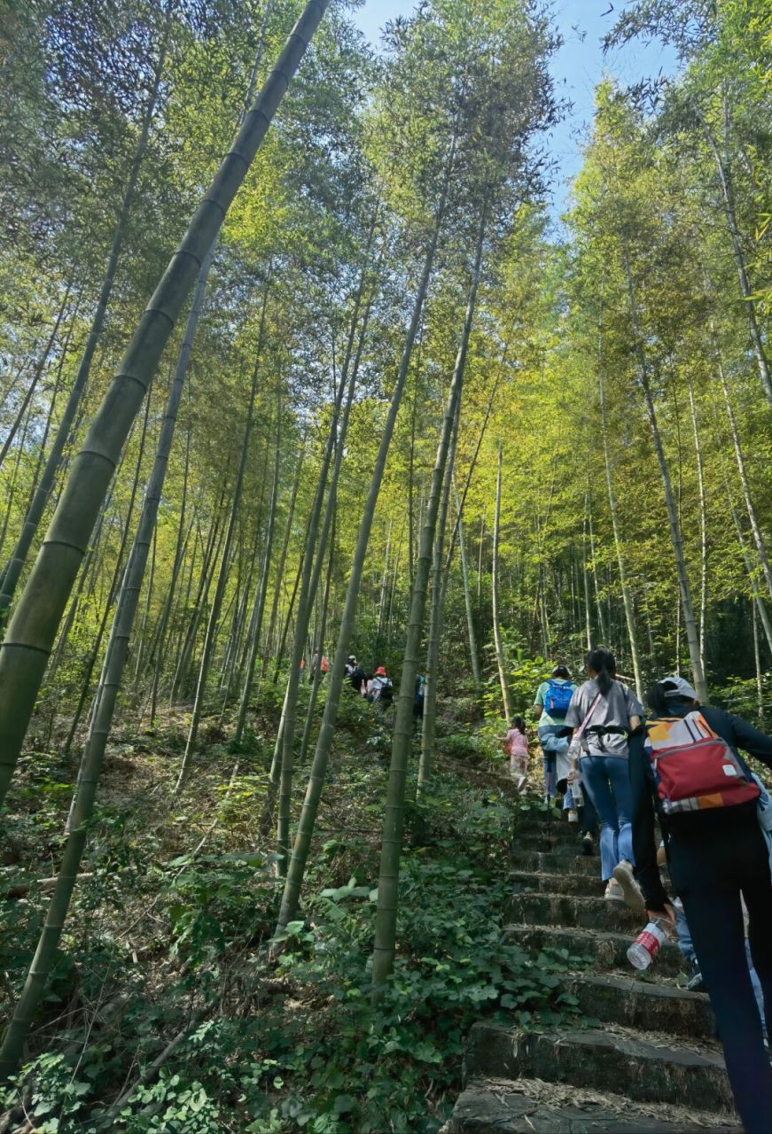 长沙乌山风景区图片