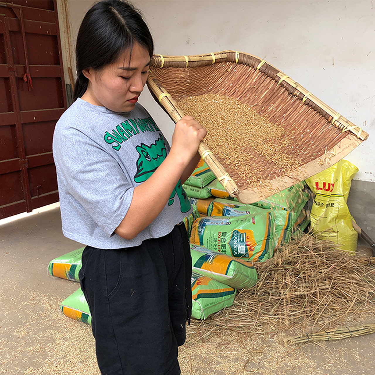 大家好 我是河北农村花姐 现在是小麦丰收的季节 今天给大家带来的是