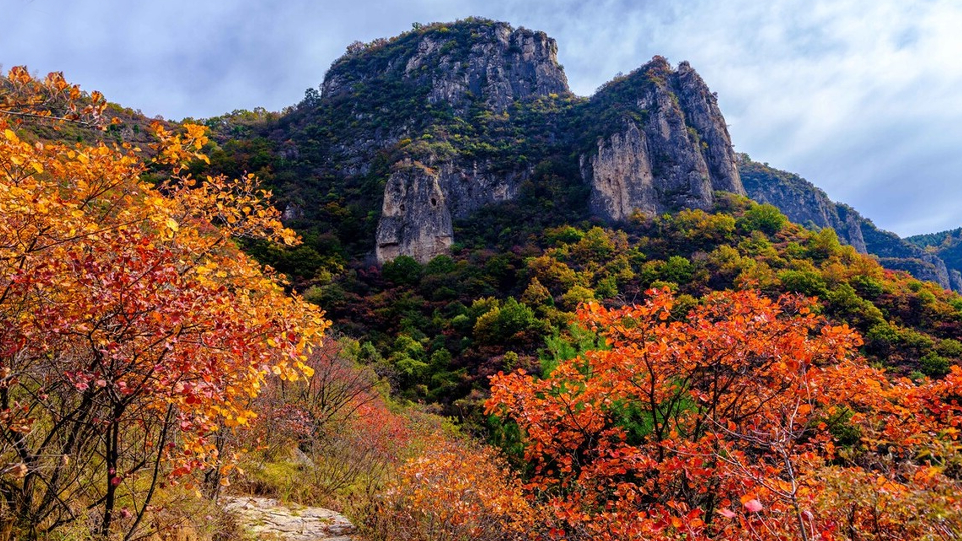 红叶绚烂的深秋是太行山最美的季节,太行山层林尽染,赤橙黄绿间,多了
