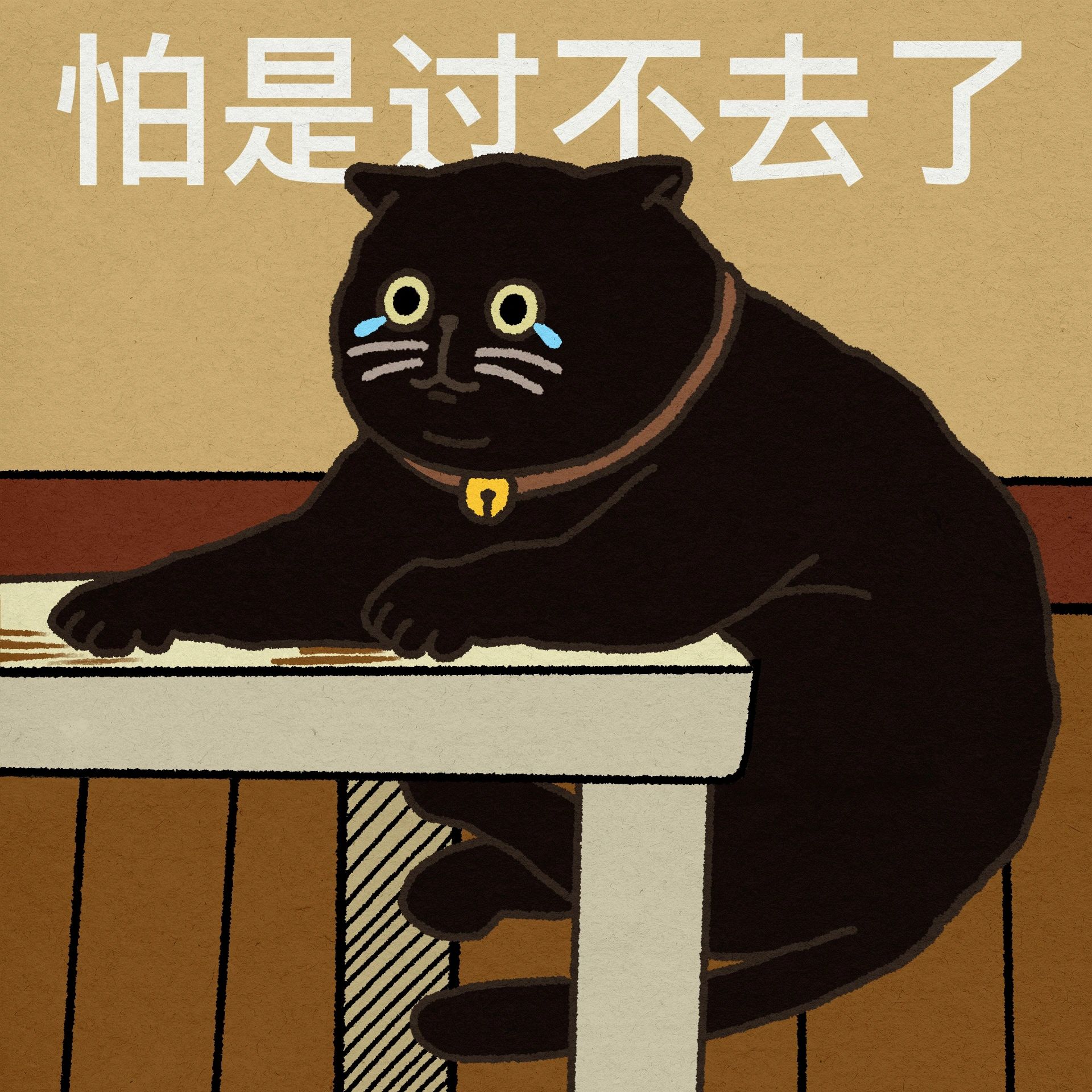 5公分  但是此刻看向镜中我帅气的面庞,确实与这拳