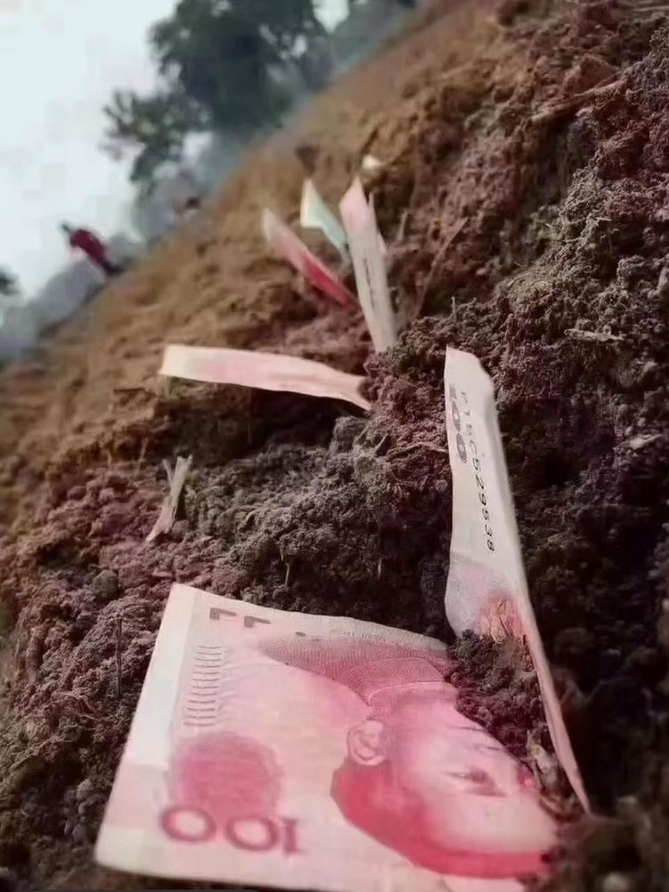 种瓜得瓜,种钱得钱