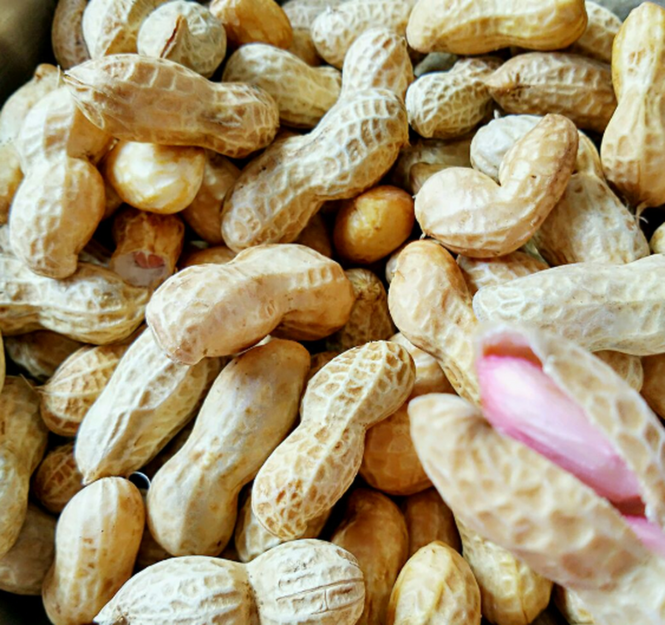 花生和枸杞子都是中药中常用的补益食材,具有很好的滋补作用.