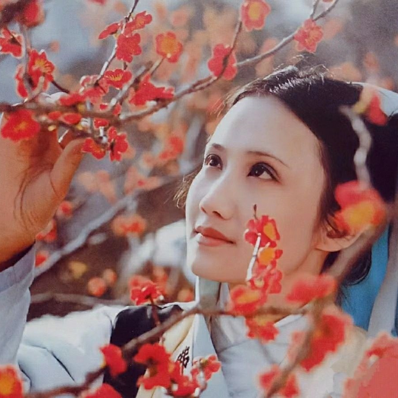 87版红楼梦妙玉