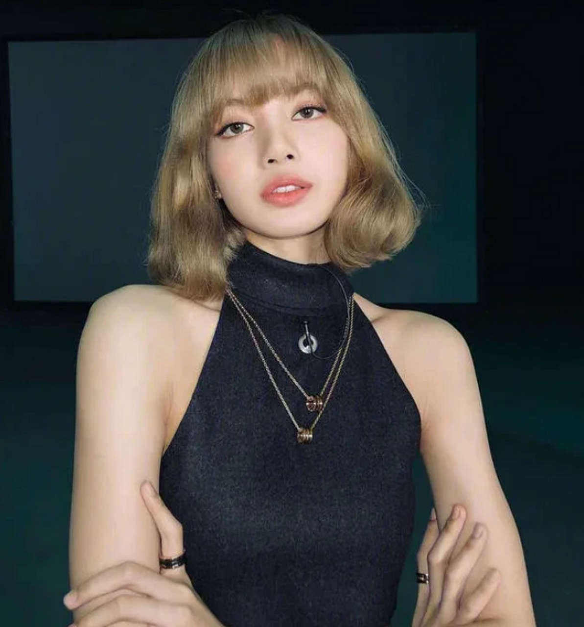 好白菜又被猪拱了! lisa!