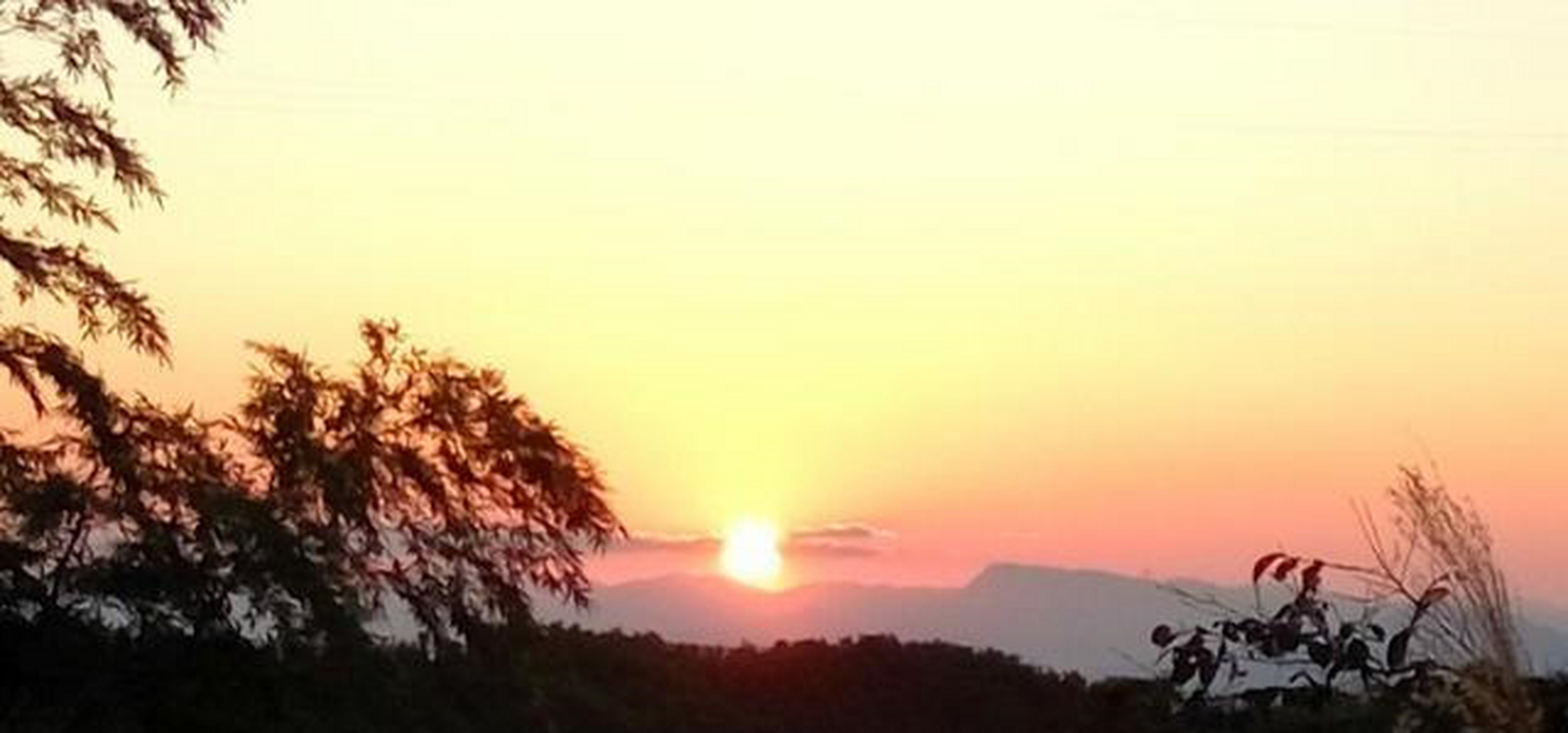 在保护区当中,分布着常绿针阔叶混交林,竹林,硬叶常绿阔叶林,灌木草丛