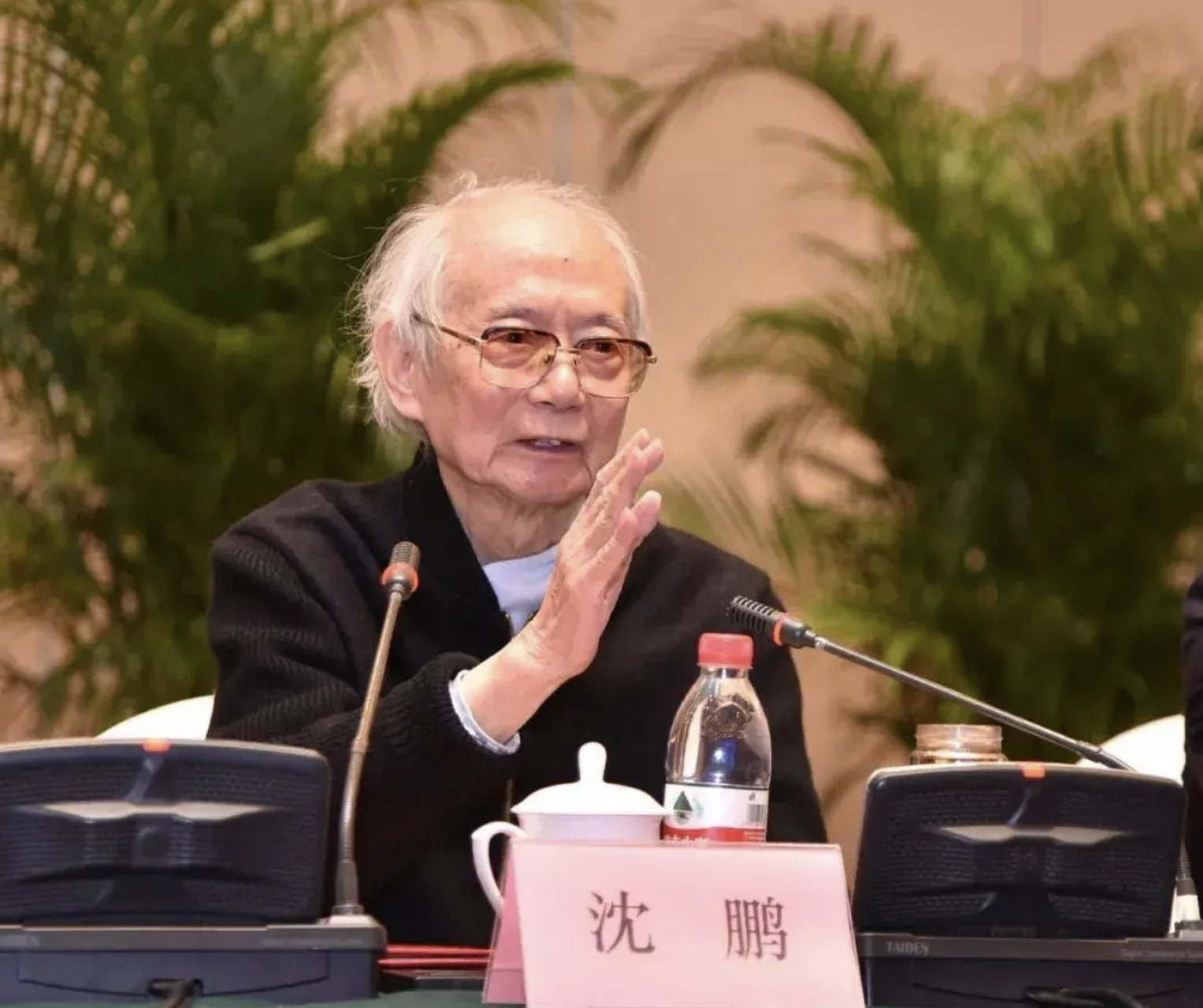 —多领域得到传承:书法,诗人和美术等,国之贡献 沈鹏