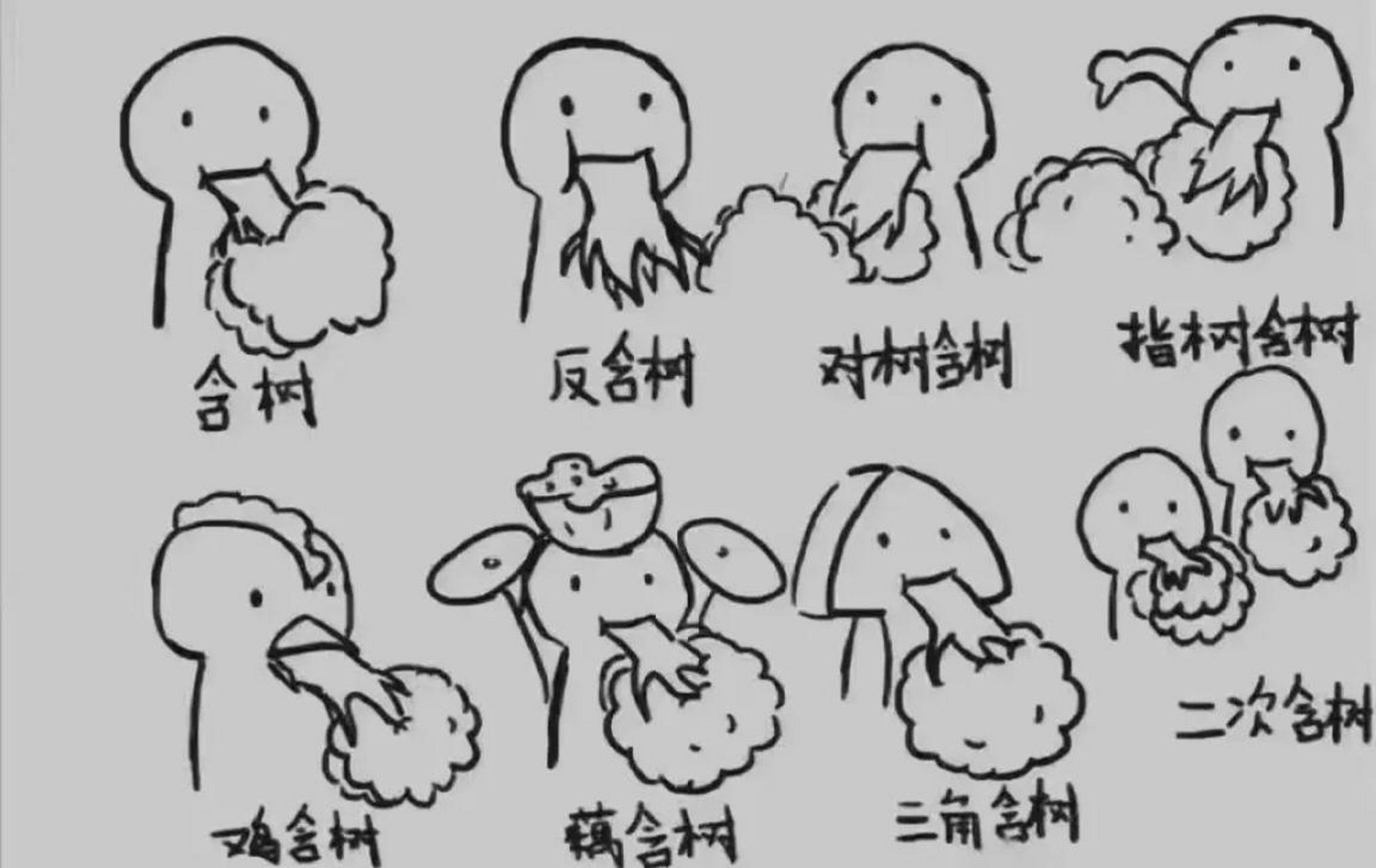 时候的各种函数,你分的清吗[滑稽] #中国版chatgpt来了# #趣图搞笑