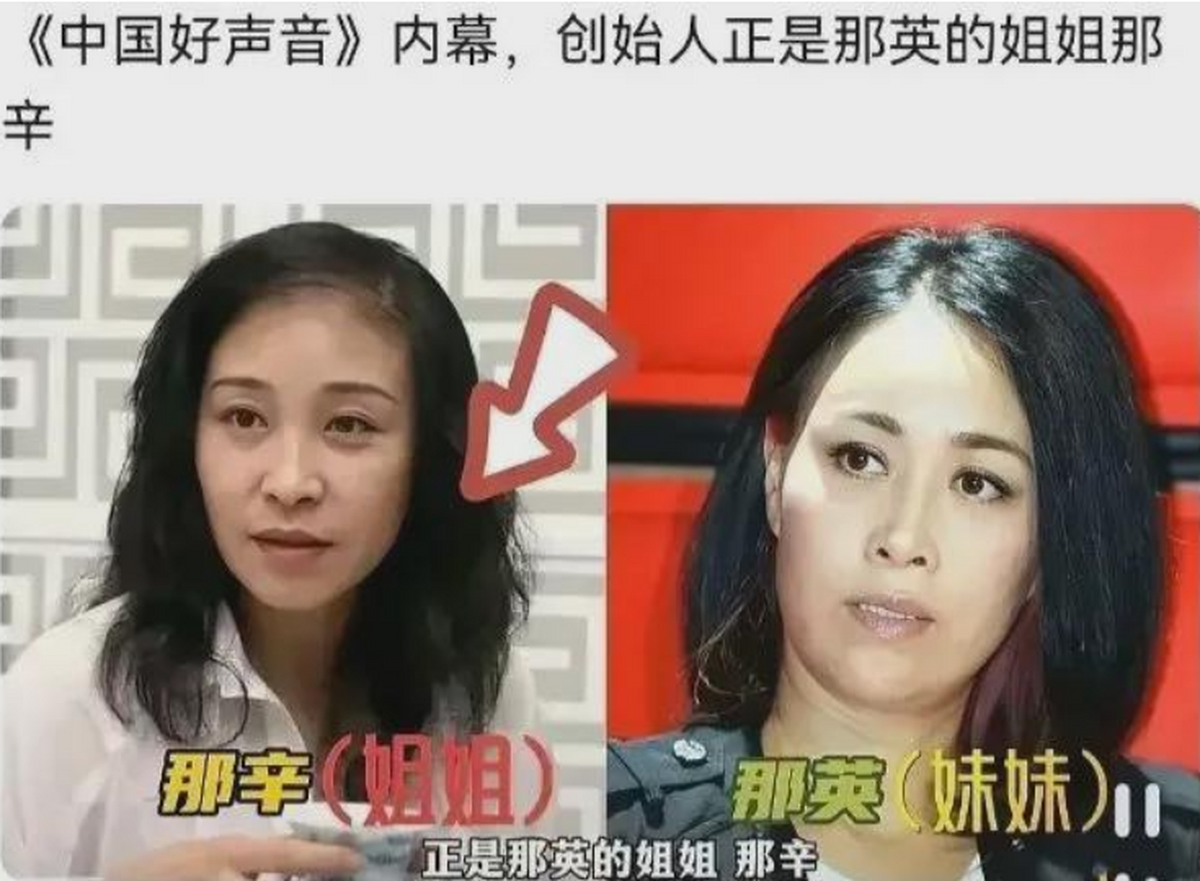 这锅甩的十万八千里,只能说,还是玩资本的那一套 然而,那英姐姐的解释