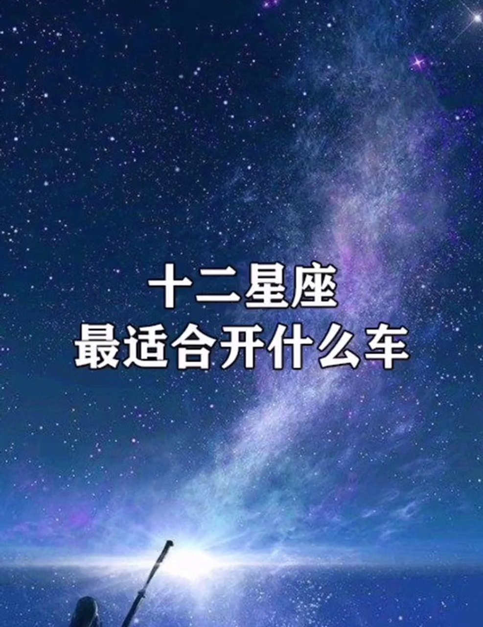 十二星座长大开什么车图片