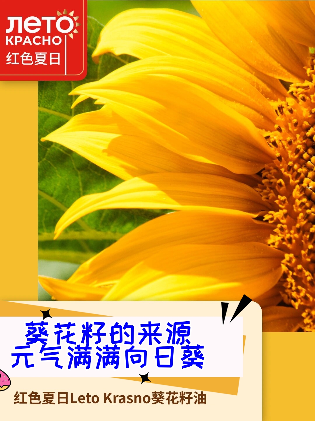 葵花籽的来源元气满满向日葵  如果你熟悉葵花籽,那么你一定对向日葵