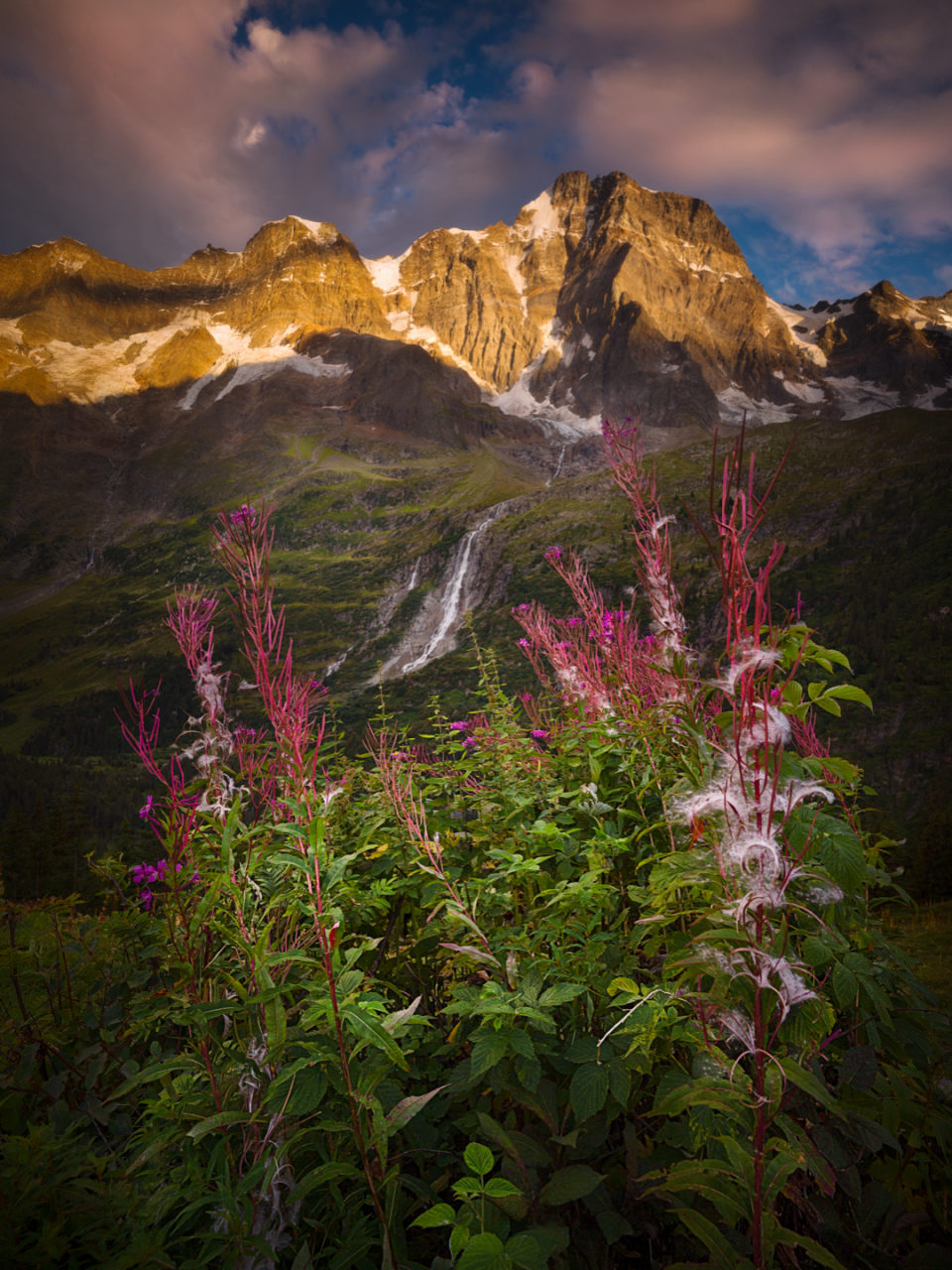 山花烂漫时  在夏天,山上的野花纷纷盛开,为山间景色增添了一抹亮色.