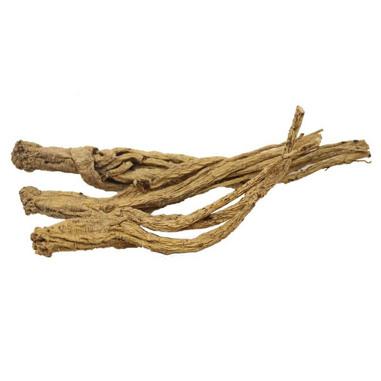 甘肃省陇南市武都纹党参(素花党参)根呈圆锥无分枝,头粗尾细根长10