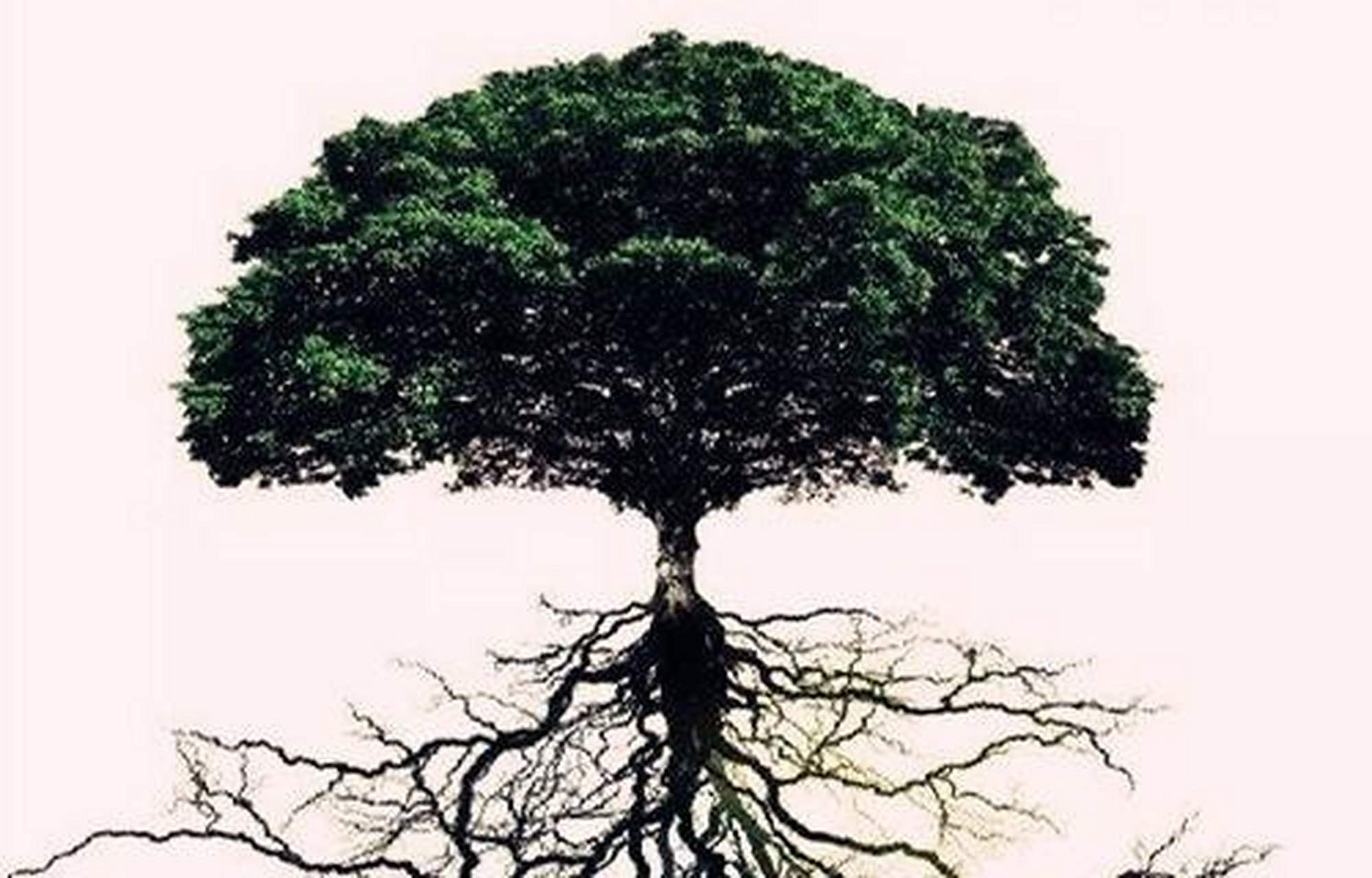 大有学问# 【天干通根】 天干叫气,地支叫根.