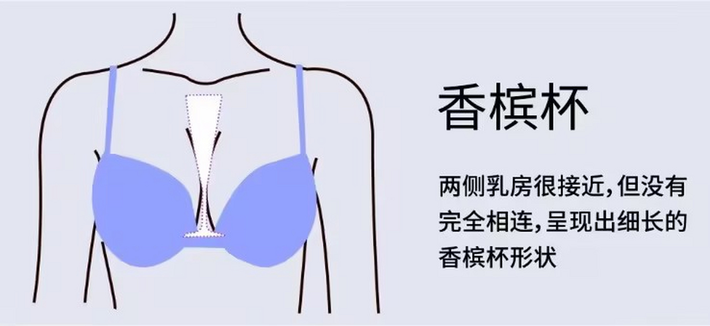 乳房香槟杯图片