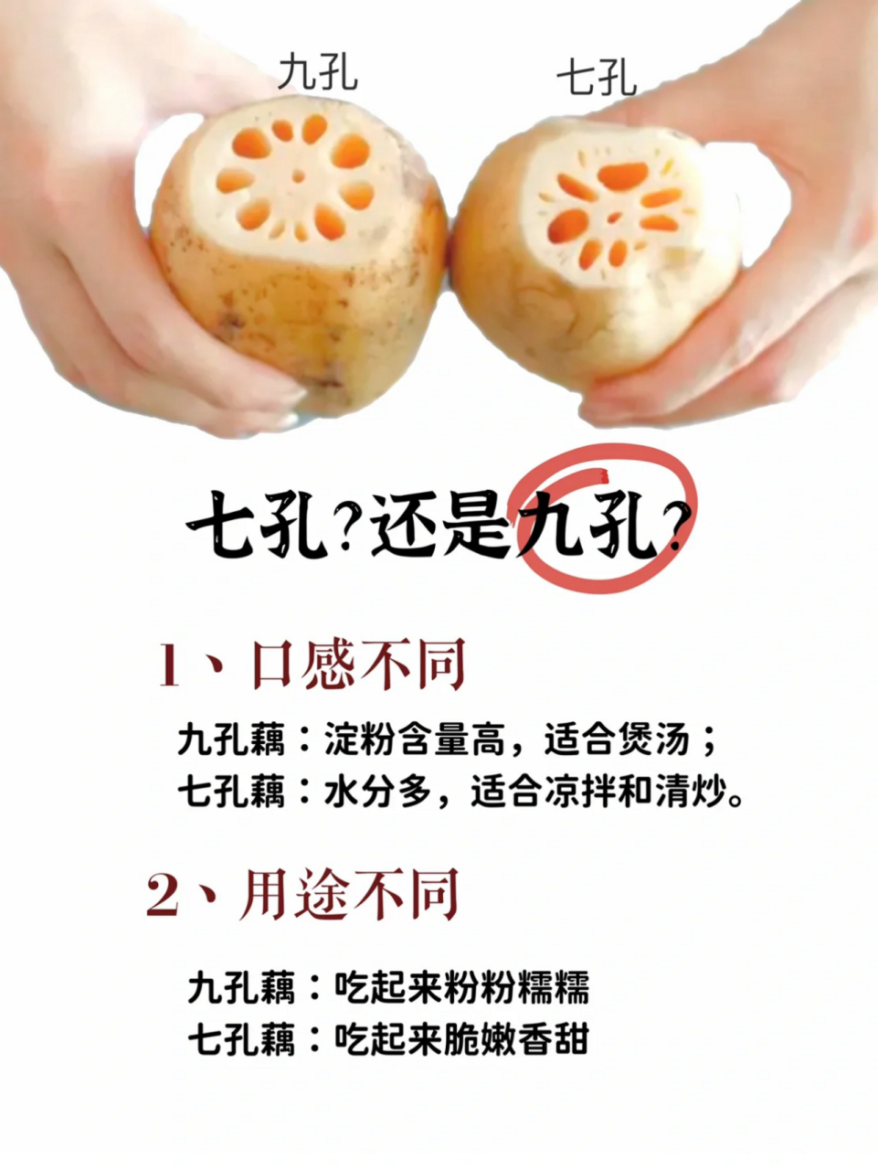 7孔9孔11孔藕的区别 上篇写了脆土豆和粉土豆的区别,好多人留言说要看