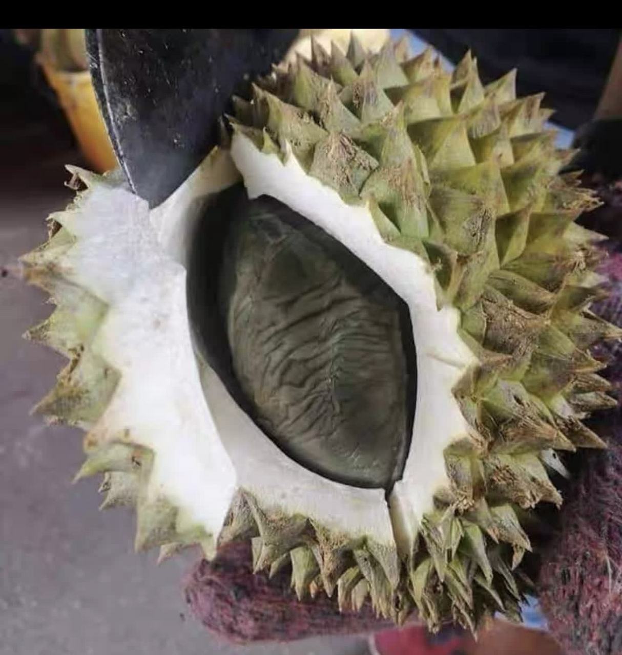 至尊黑金榴莲,限量版[左捂脸]