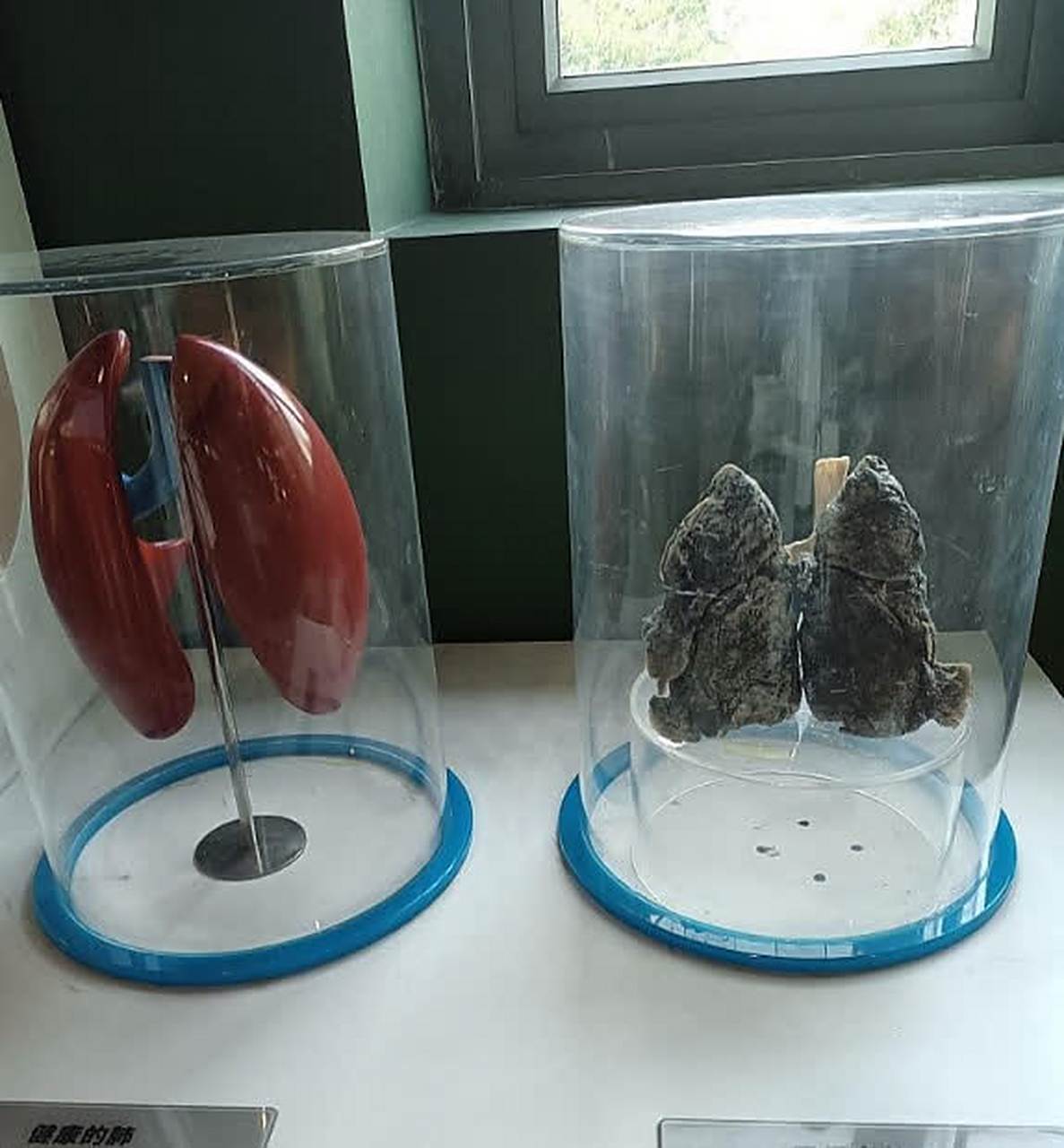 网友:原来抽烟危害这么大,吓到我了,赶紧点一根来压