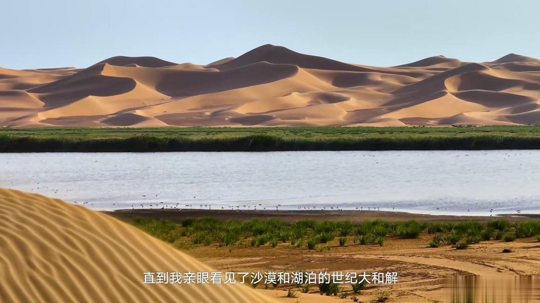向往的乌兰布和   刚刚观看了特仑苏《向往的乌兰布和》宣传片,视频中