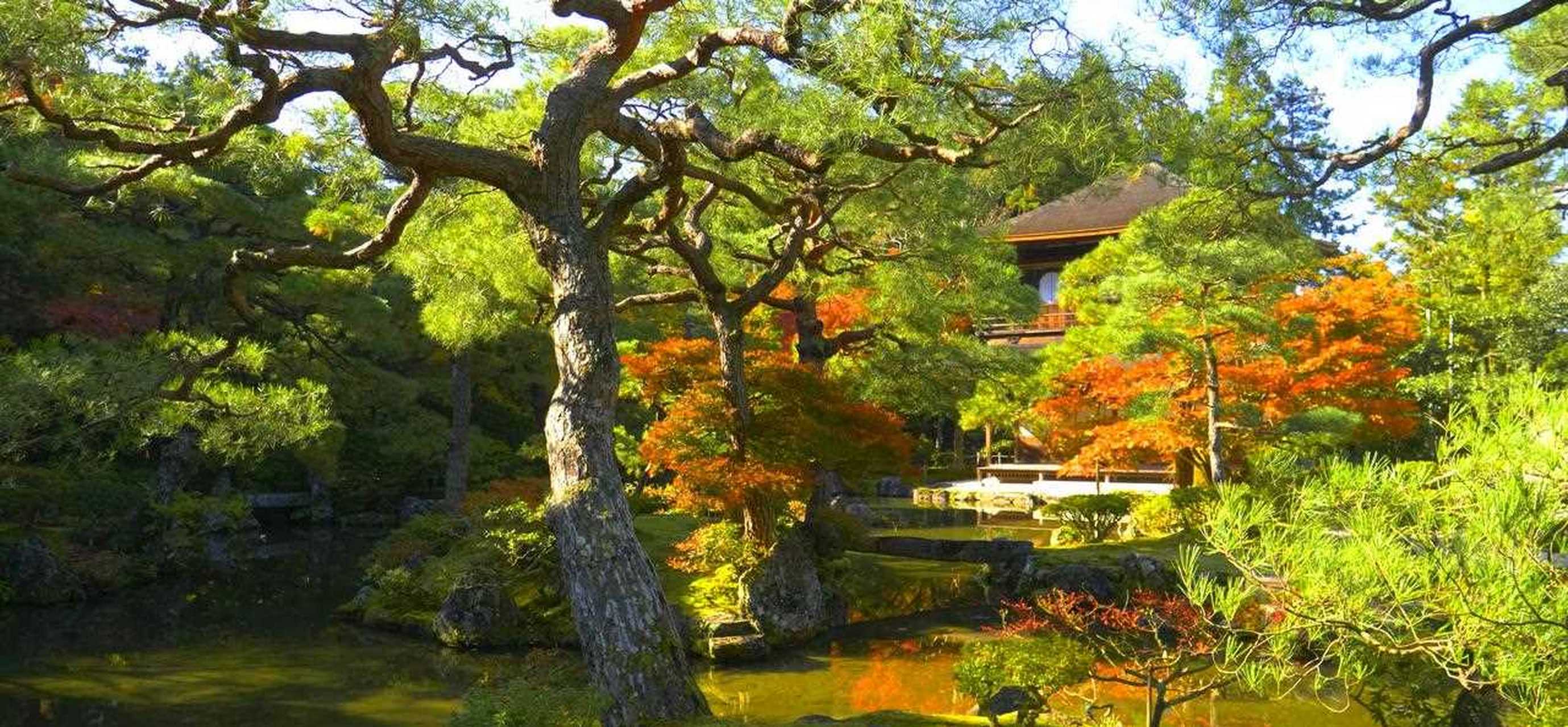 优美的枯山水庭院银阁寺!