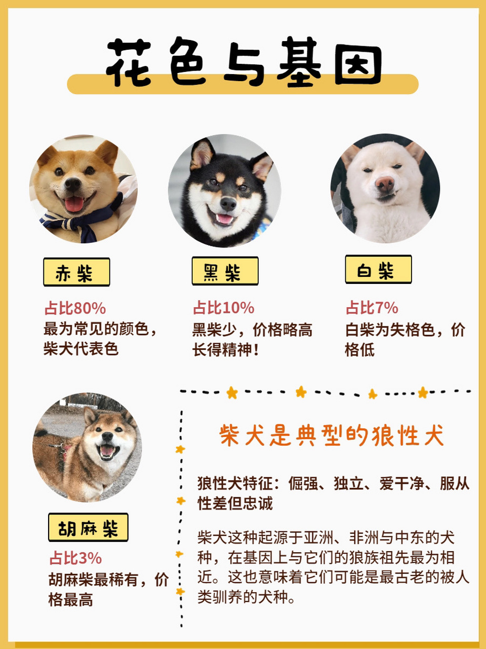 柴犬取名图片