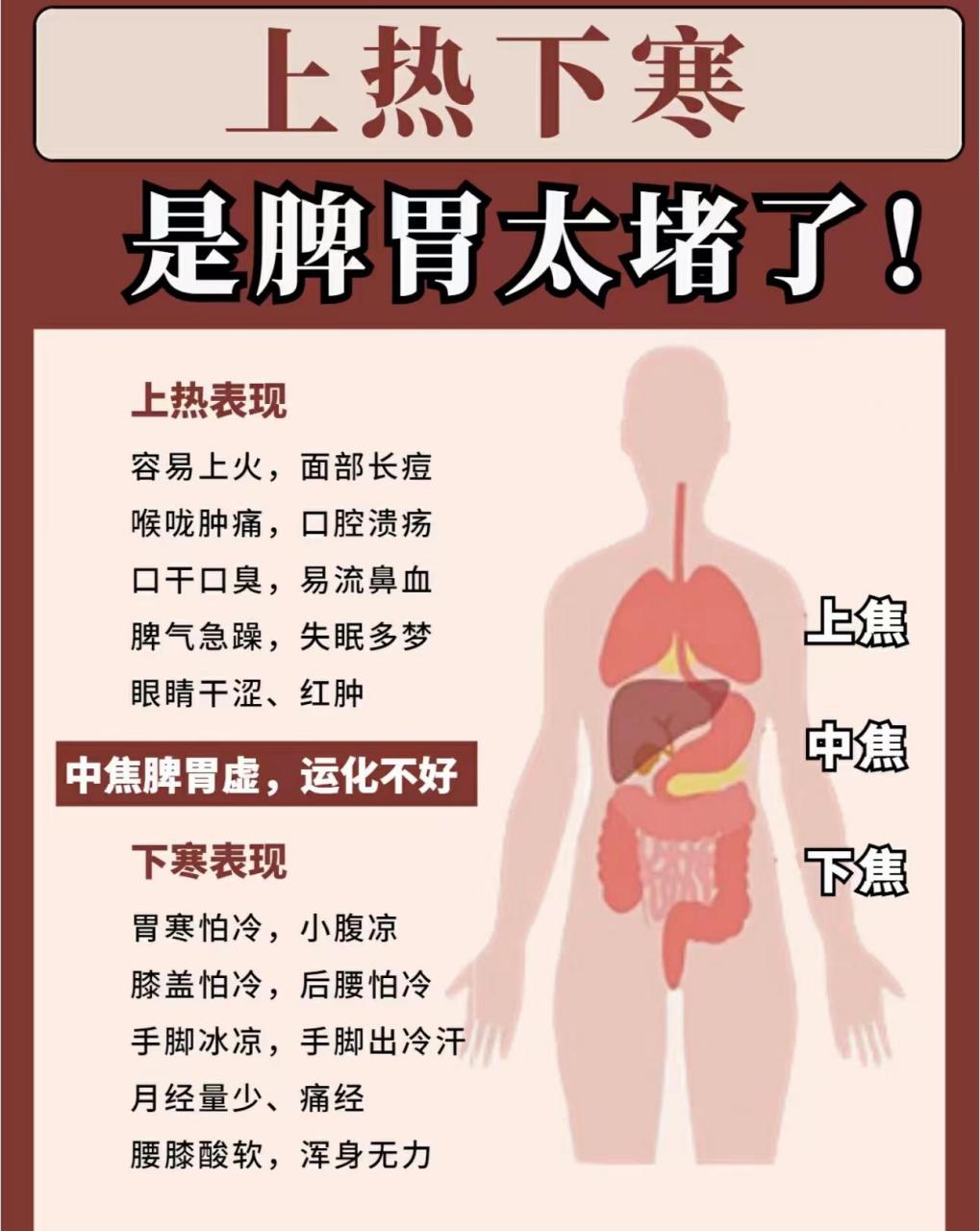 上焦是指哪些部位图片图片