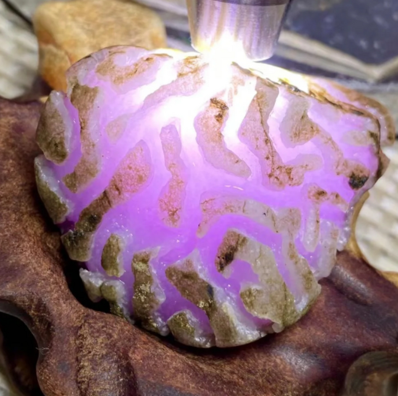 点击头像看直播# #翡翠原石# 71克会卡冰种桃花春 春色迷人  肉质