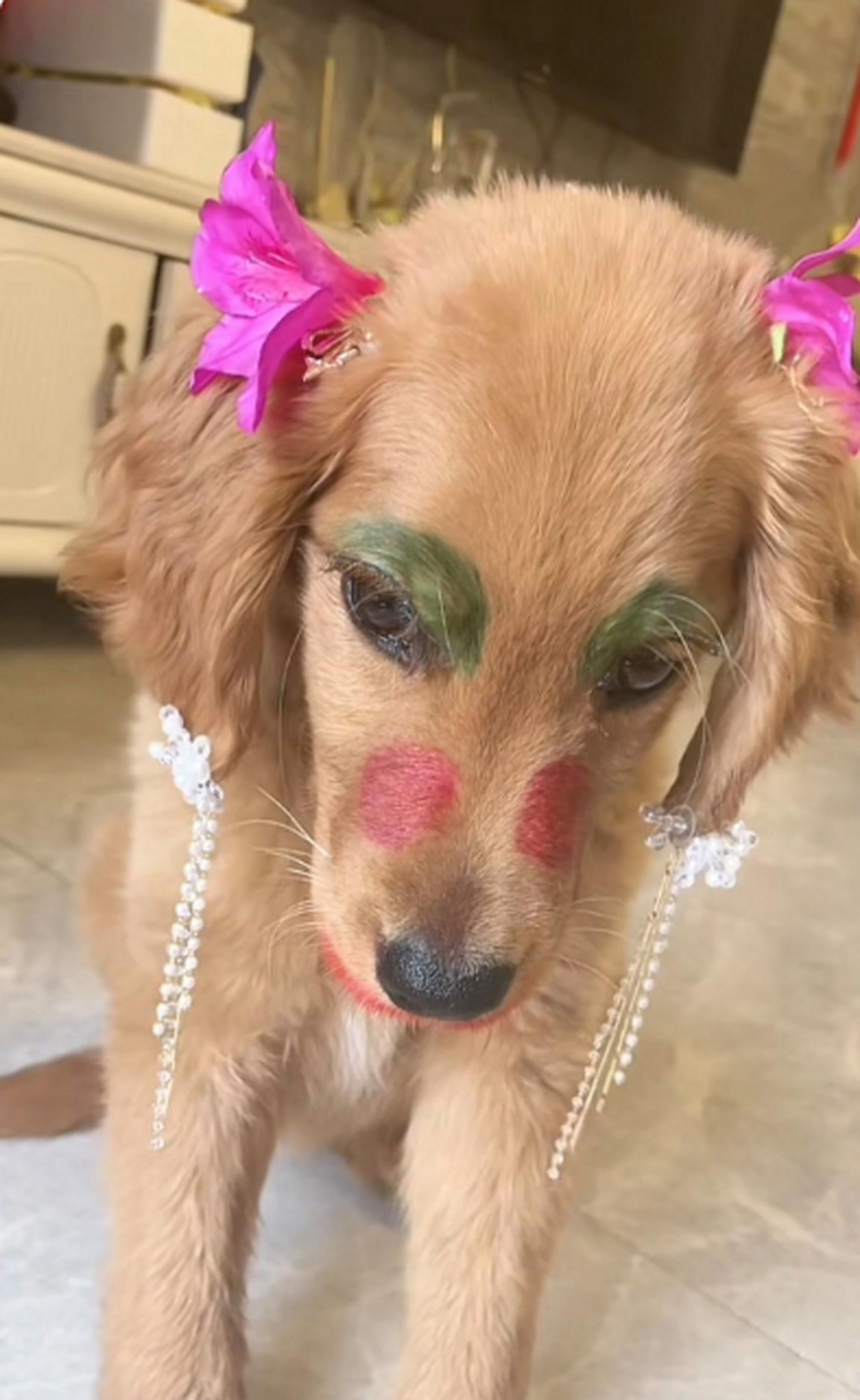 网友:给画妆师差评,腮红打错地方了#搞笑