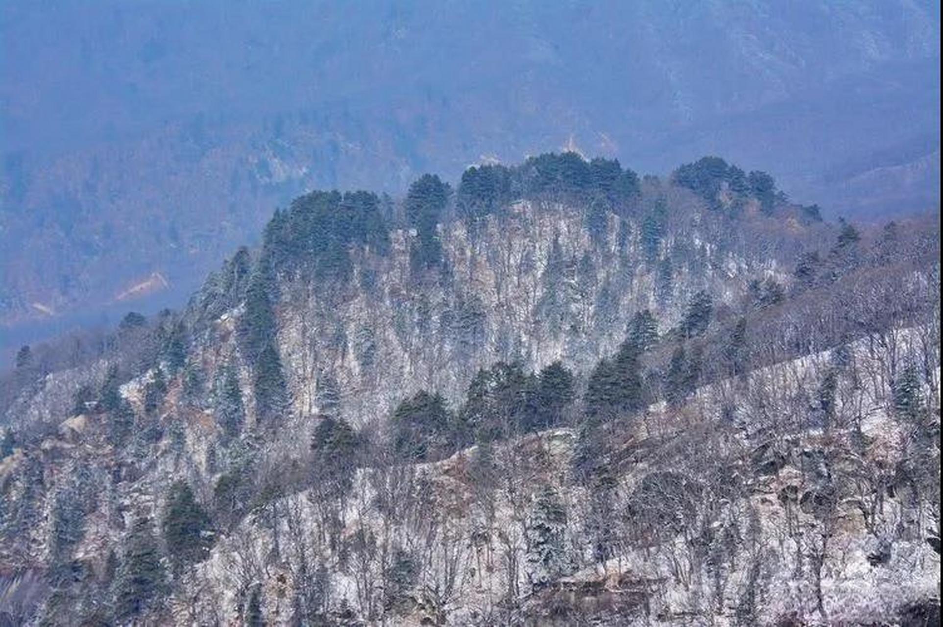 河南省南阳市内乡宝天曼景区冬景