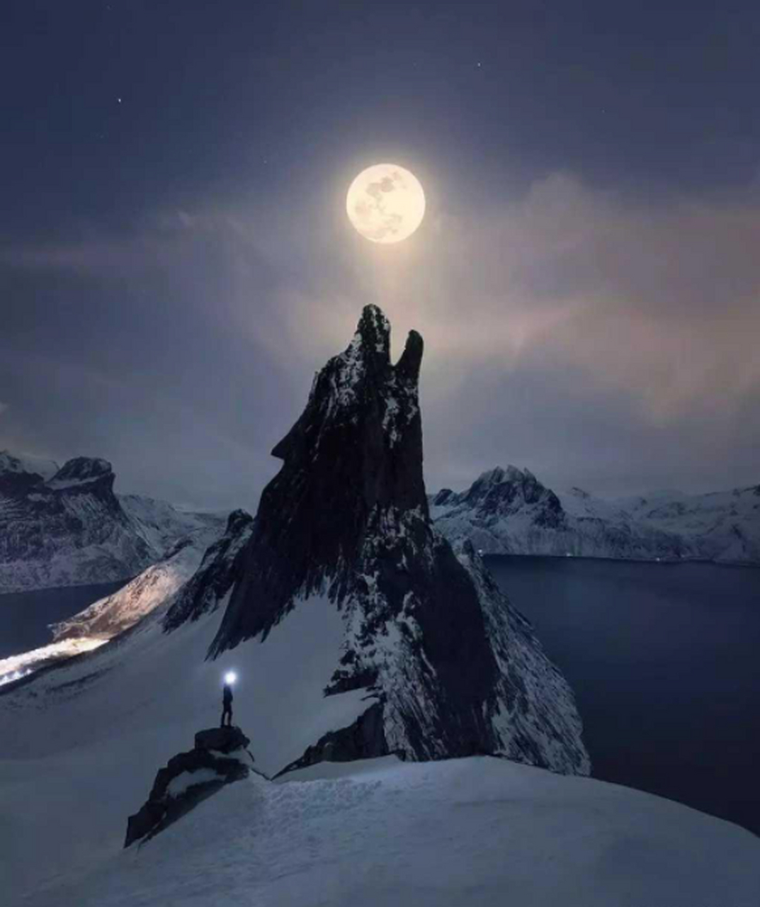 对着月亮嚎叫的巨狼