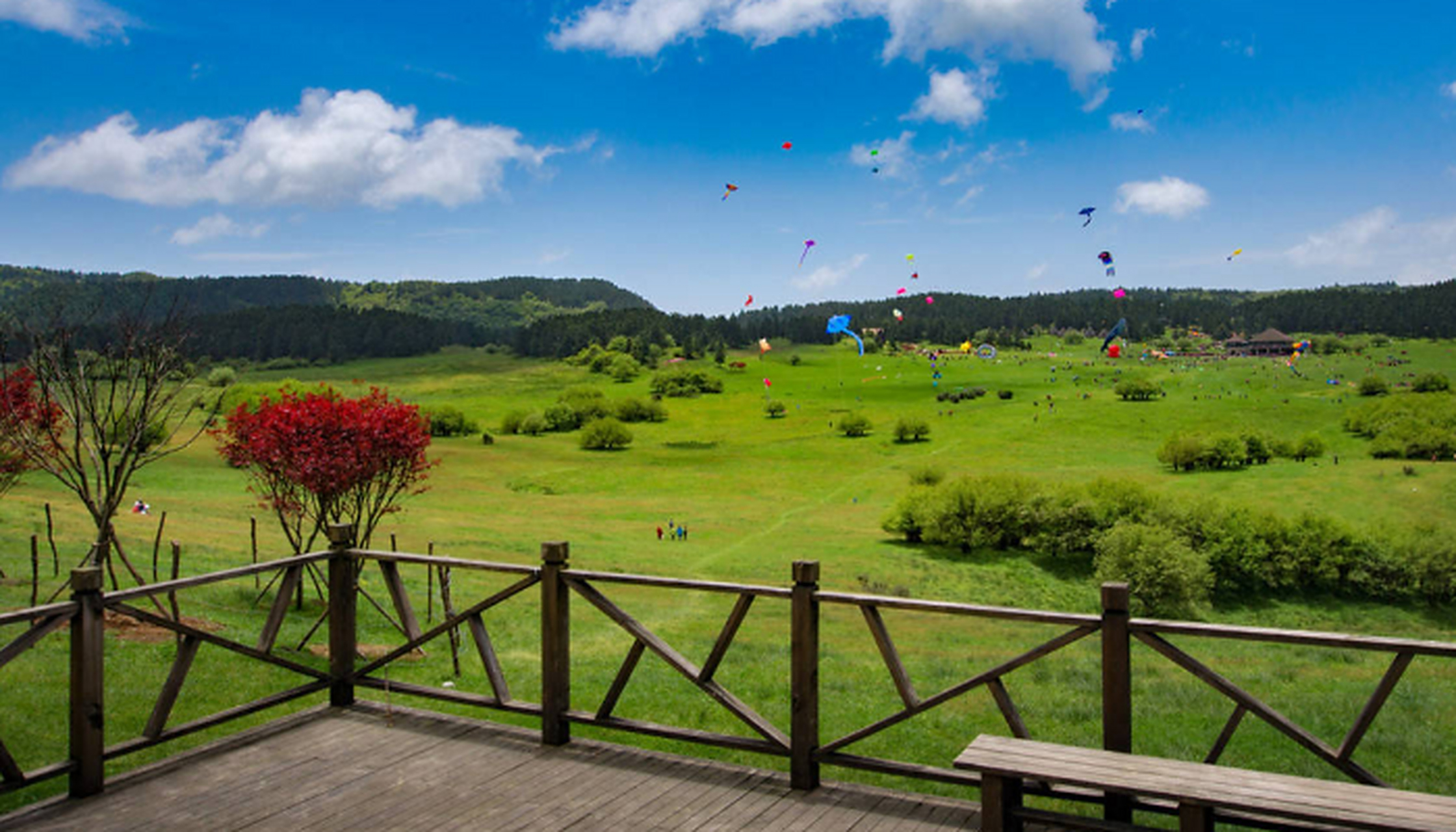 重庆市仙女山旅游度假区 国家森林公园,仙女山旅游度假区位于重庆市