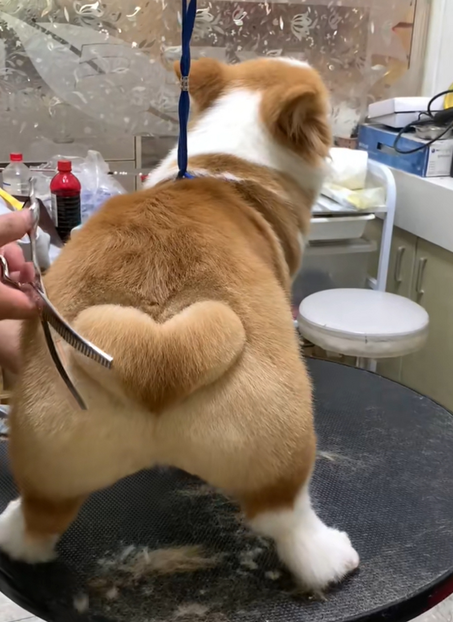 超大爱心屁股,好可爱