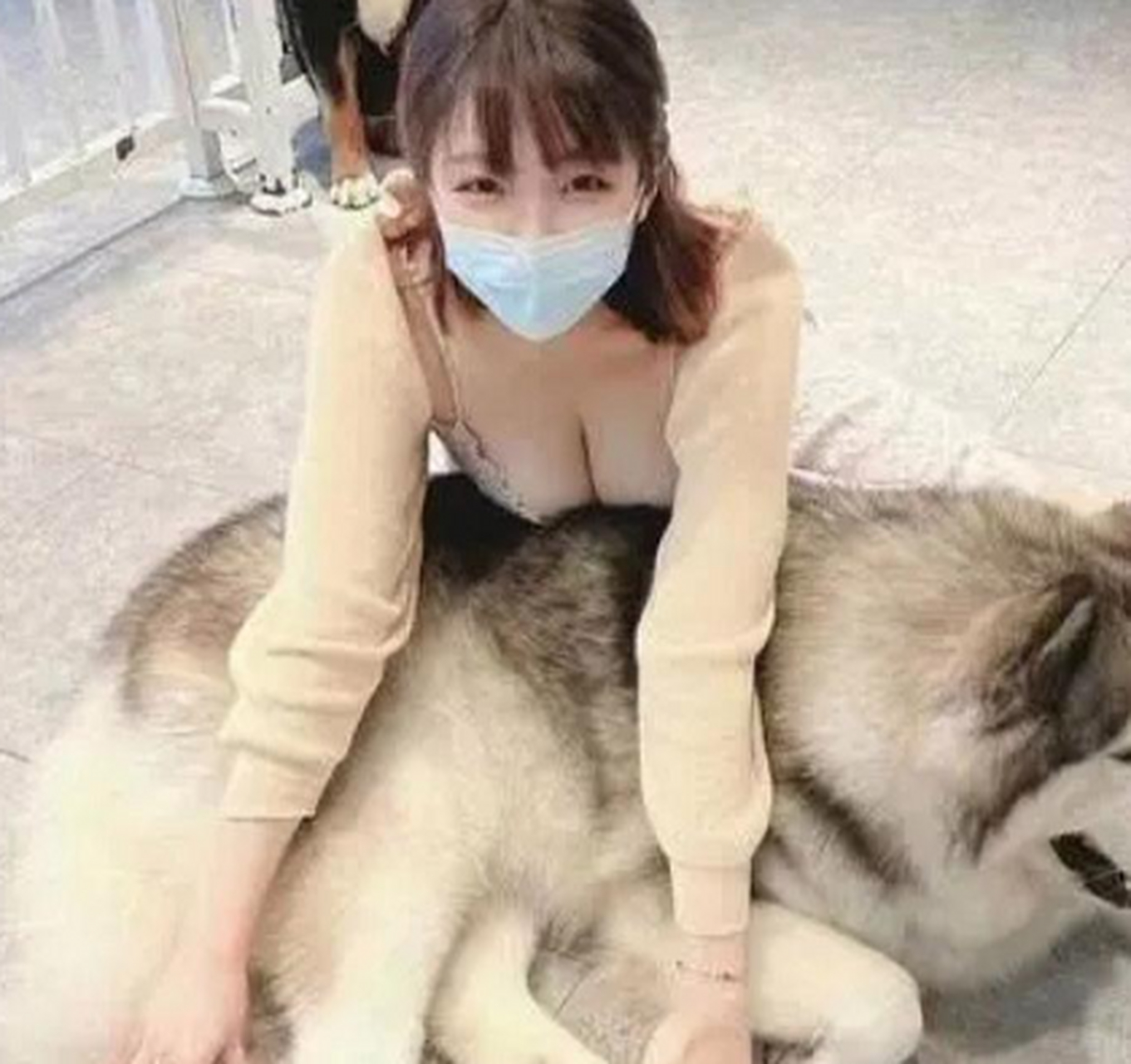 女生养这么大的狗狗,是不是挺有安全感的呀?