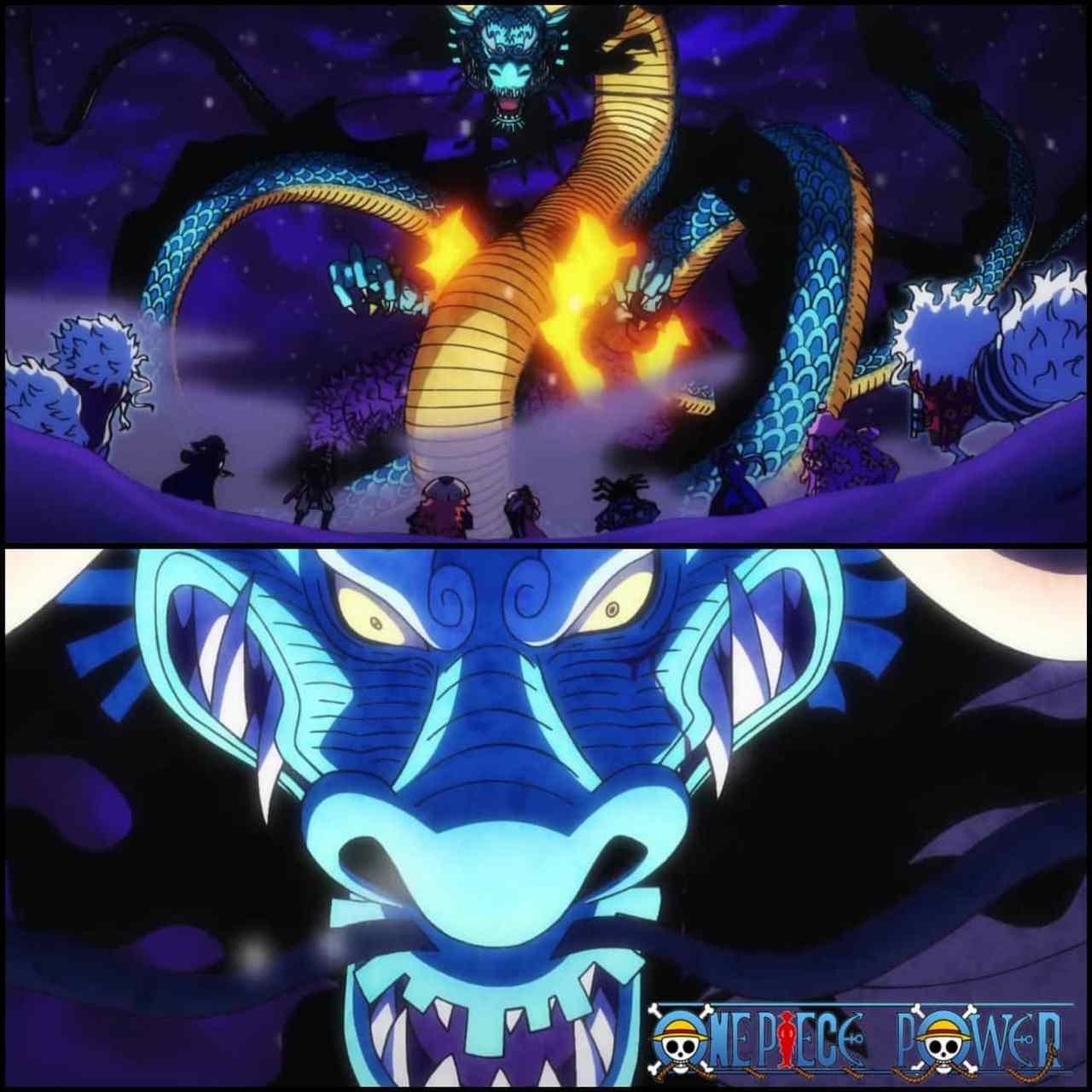 龙形态的凯多 #海贼王