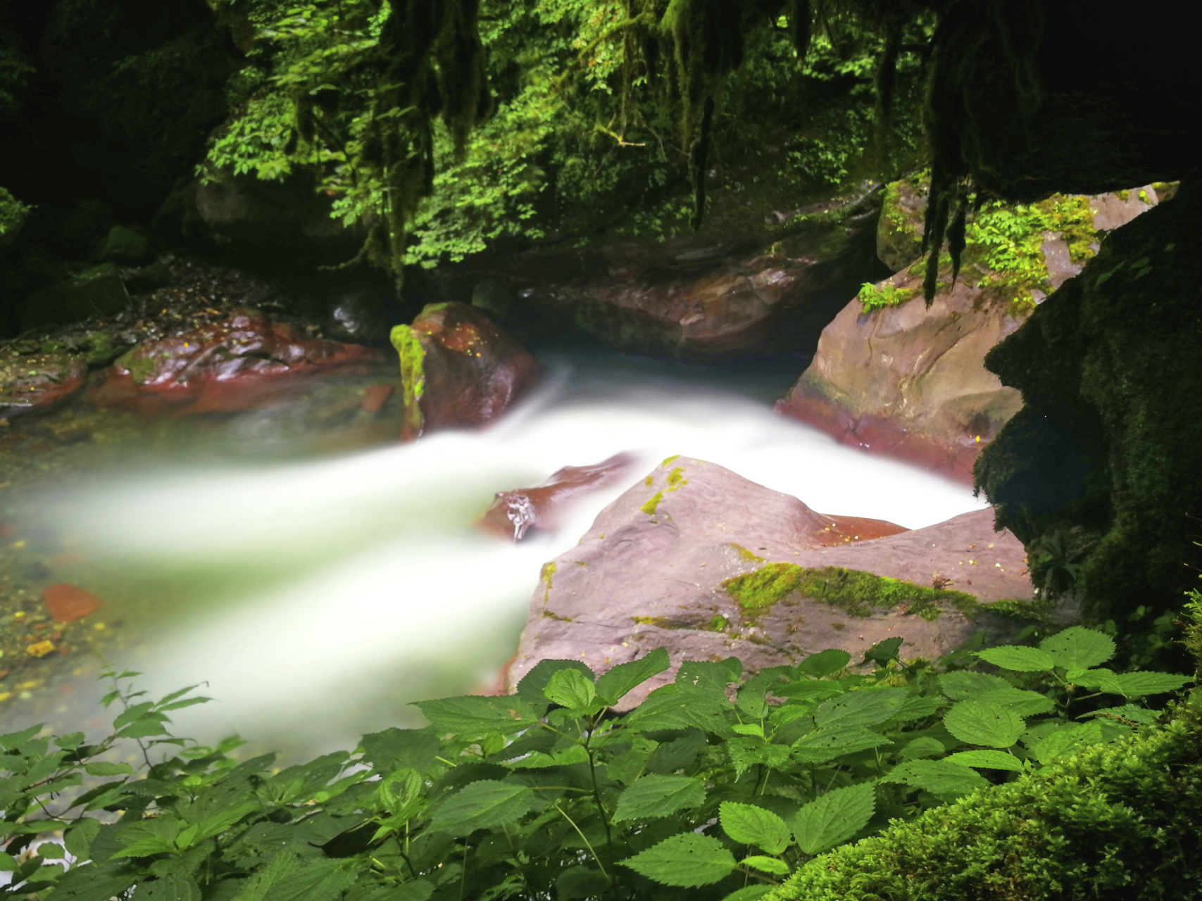 黑竹沟风景区,位于峨边县境西南,地处小凉山深处.