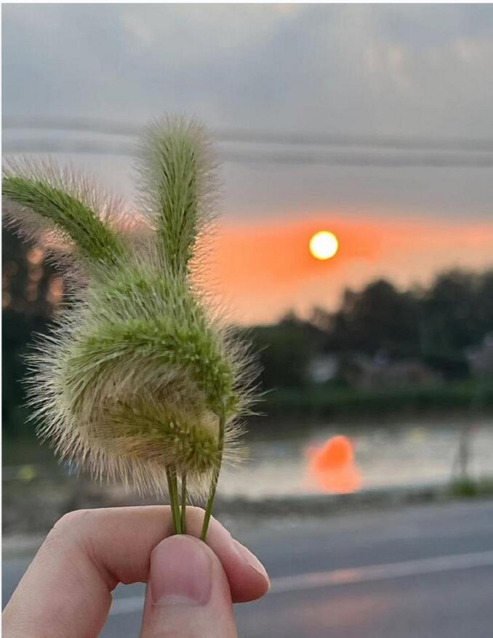 我对蝉说:下次再见,要等来年. 蝉对我说:若是重逢,已是来生.