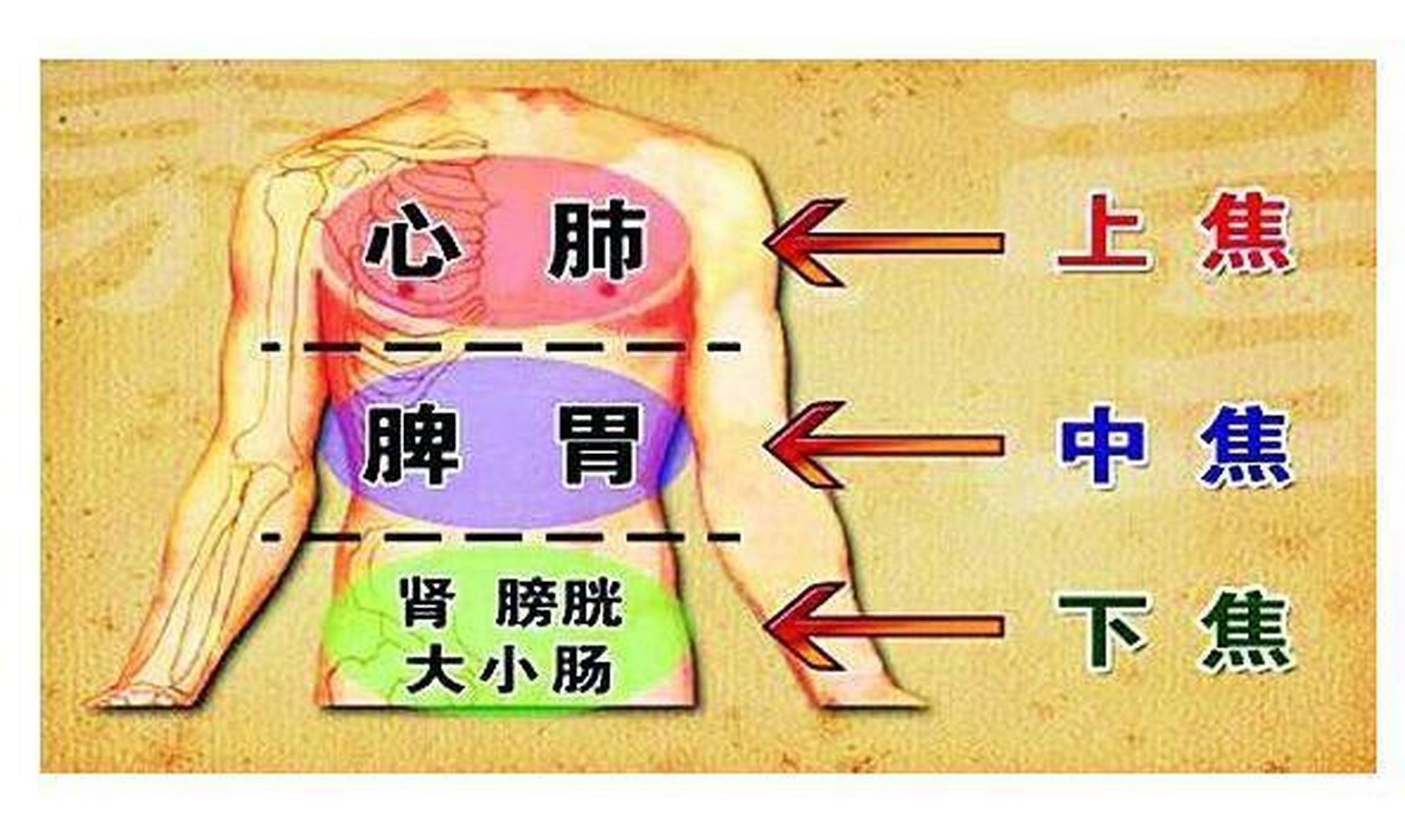 三焦经络路线图图片