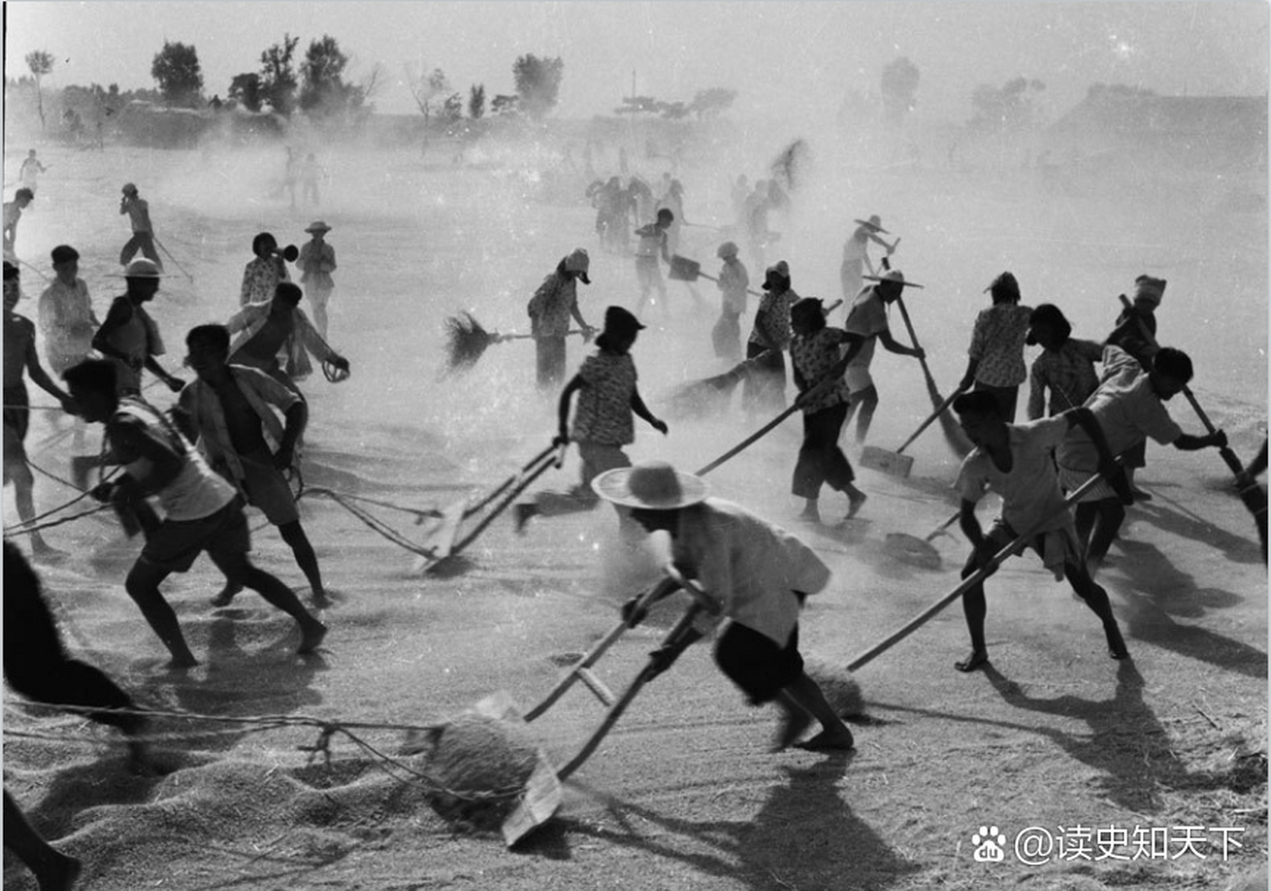 这是七十年代河南省西华县西夏,打麦场上人们意气风发,拢麦收场.